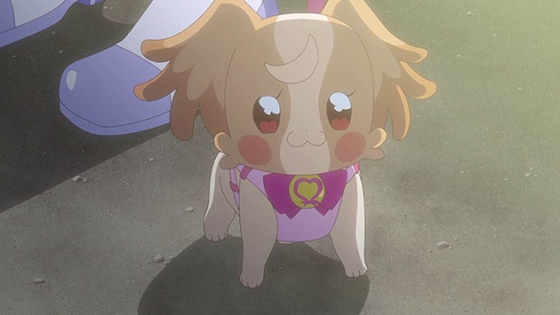 Wonderful Precure! background