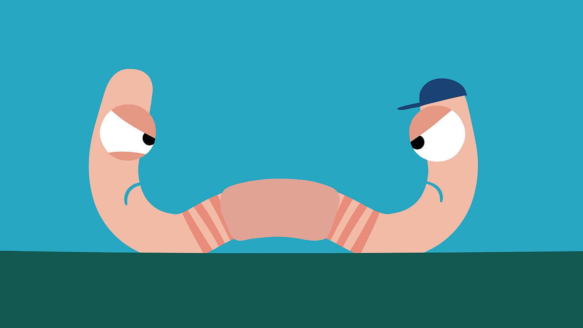 Animanimals background