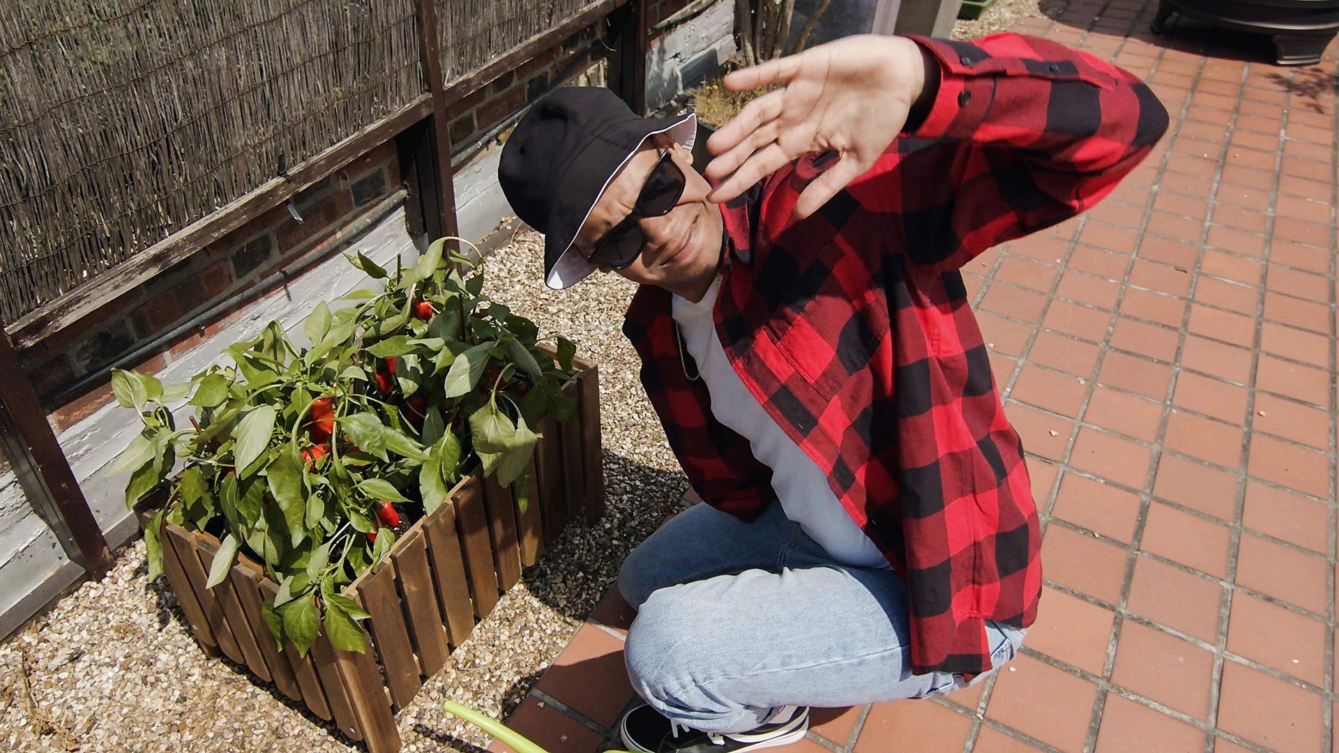 Hey You What If? background