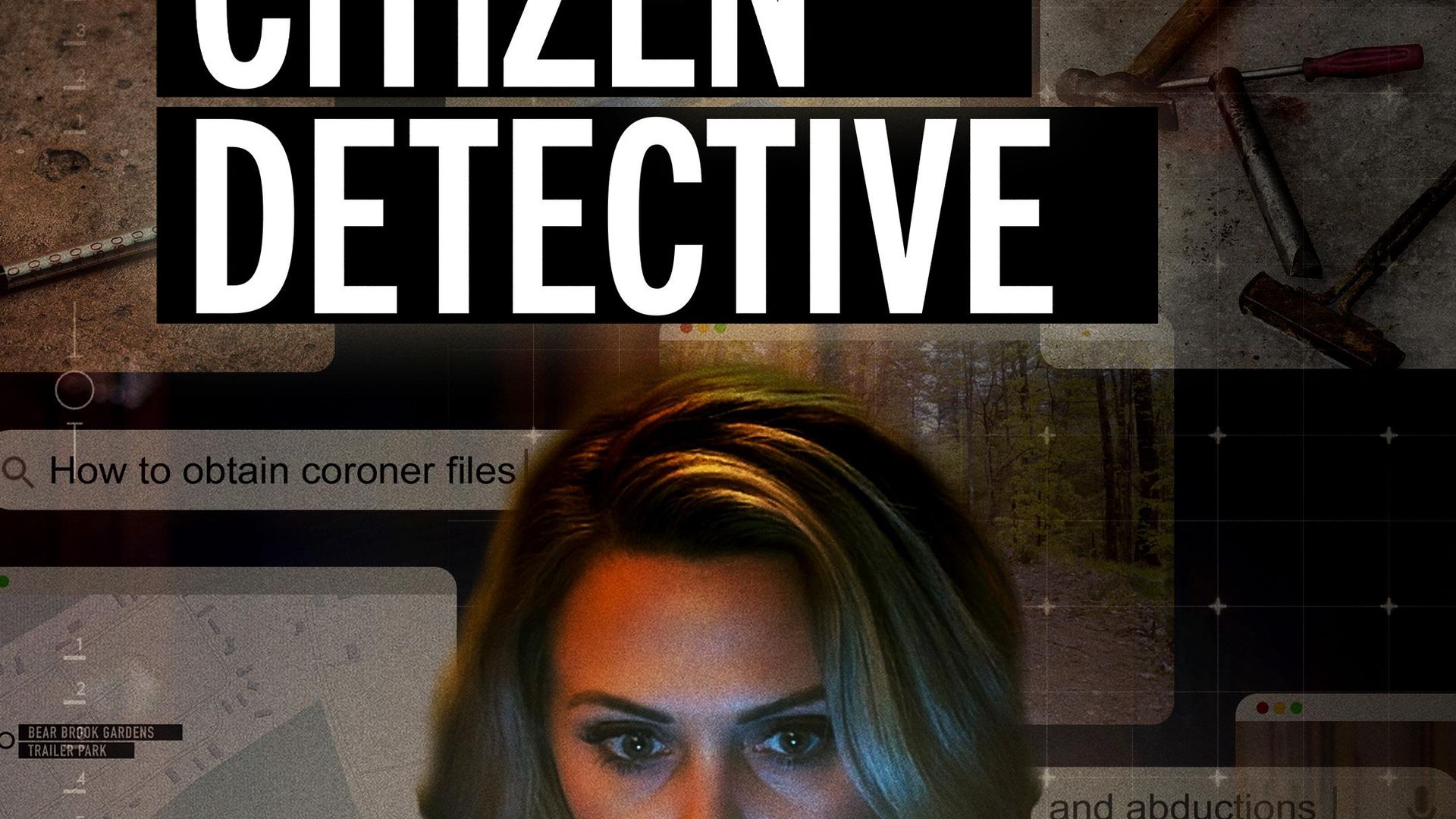True Crime Story: Citizen Detective background