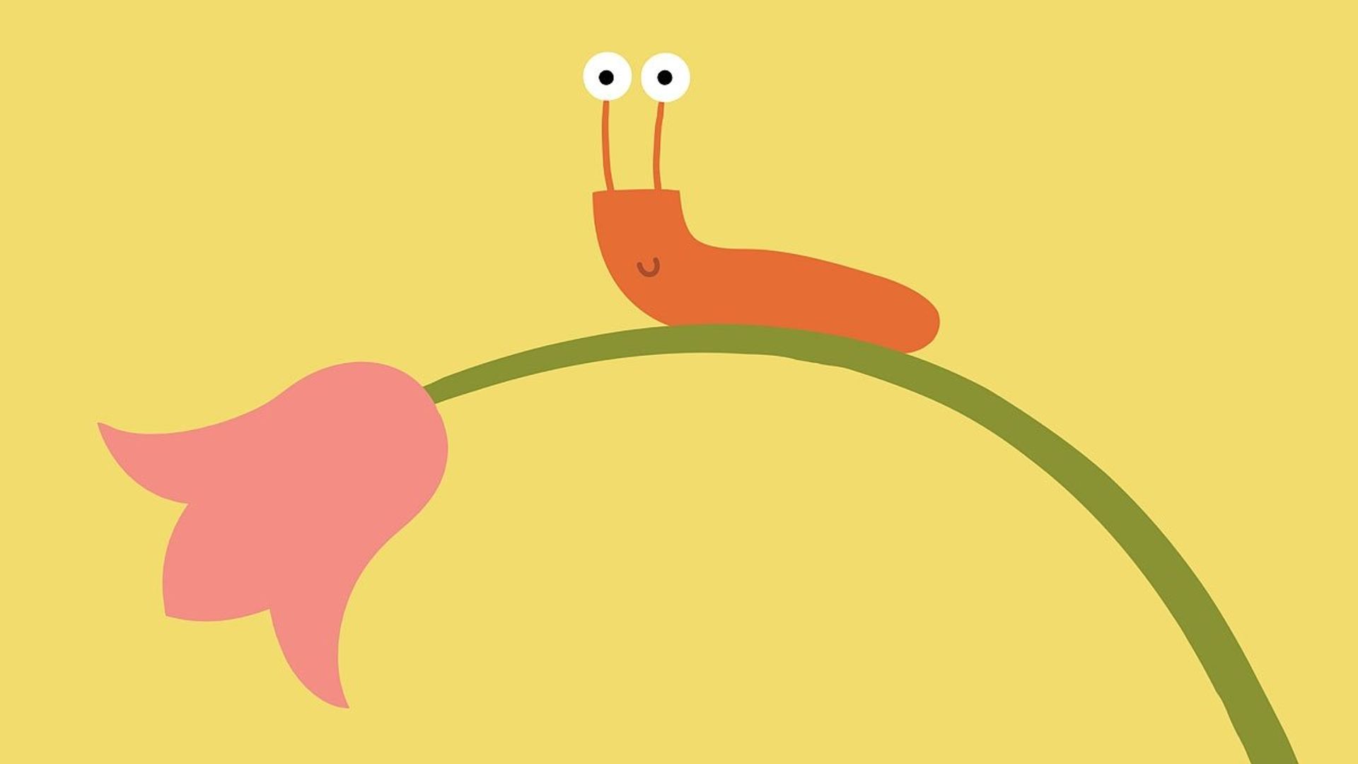 Animanimals background