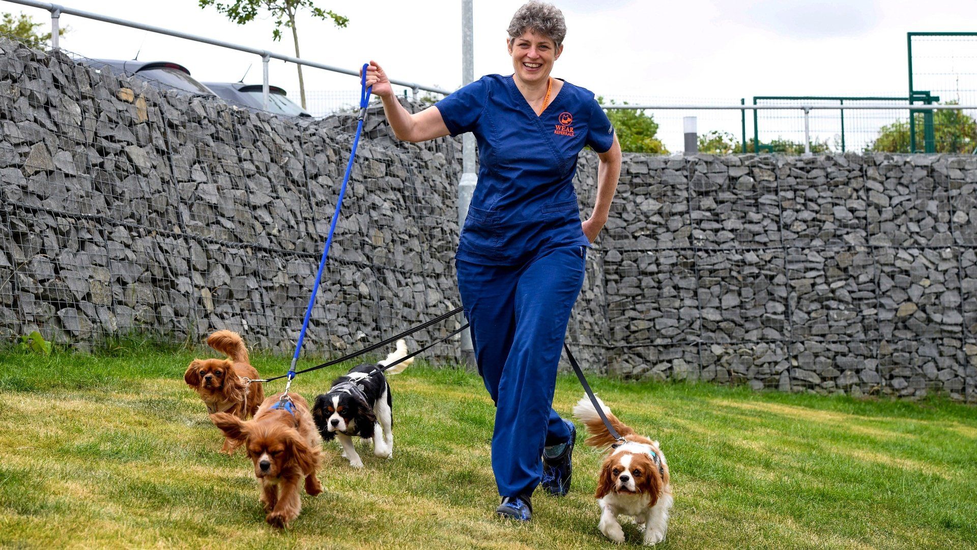24/7 Pet Hospital background