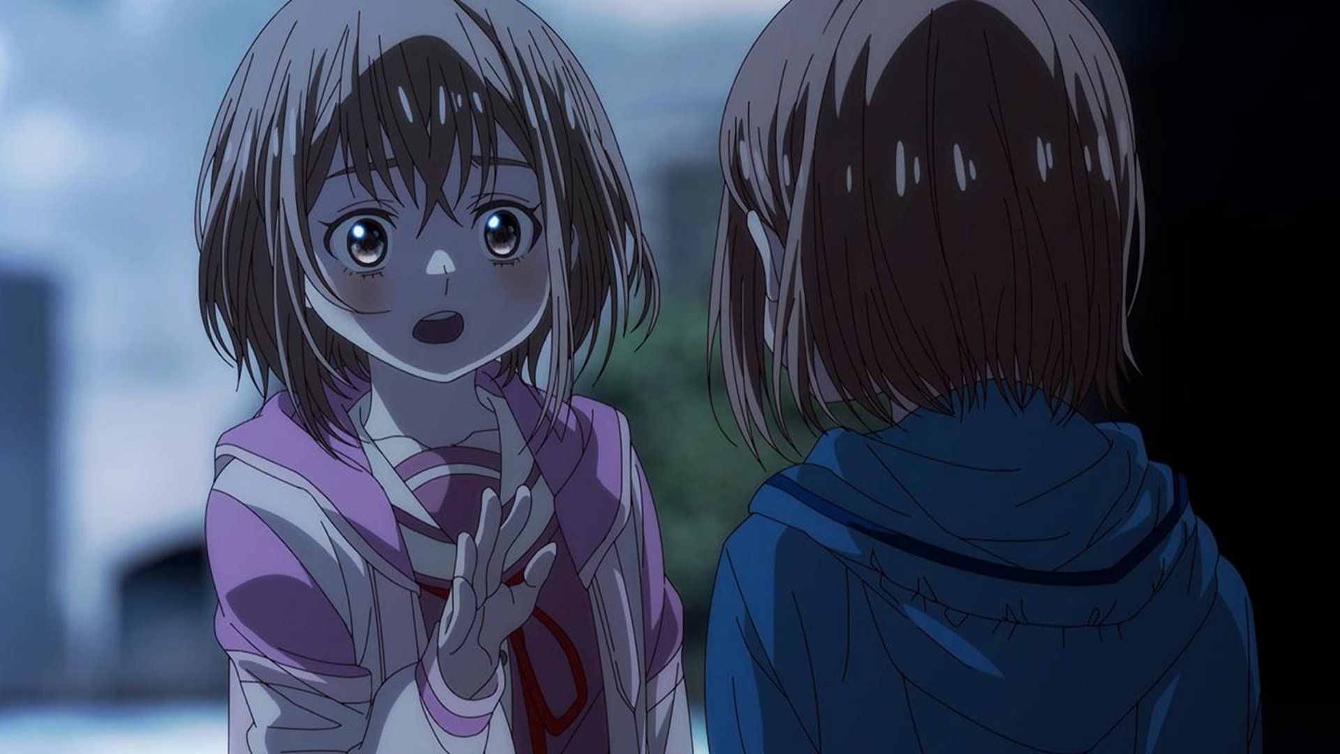 MOMENTARY LILY background