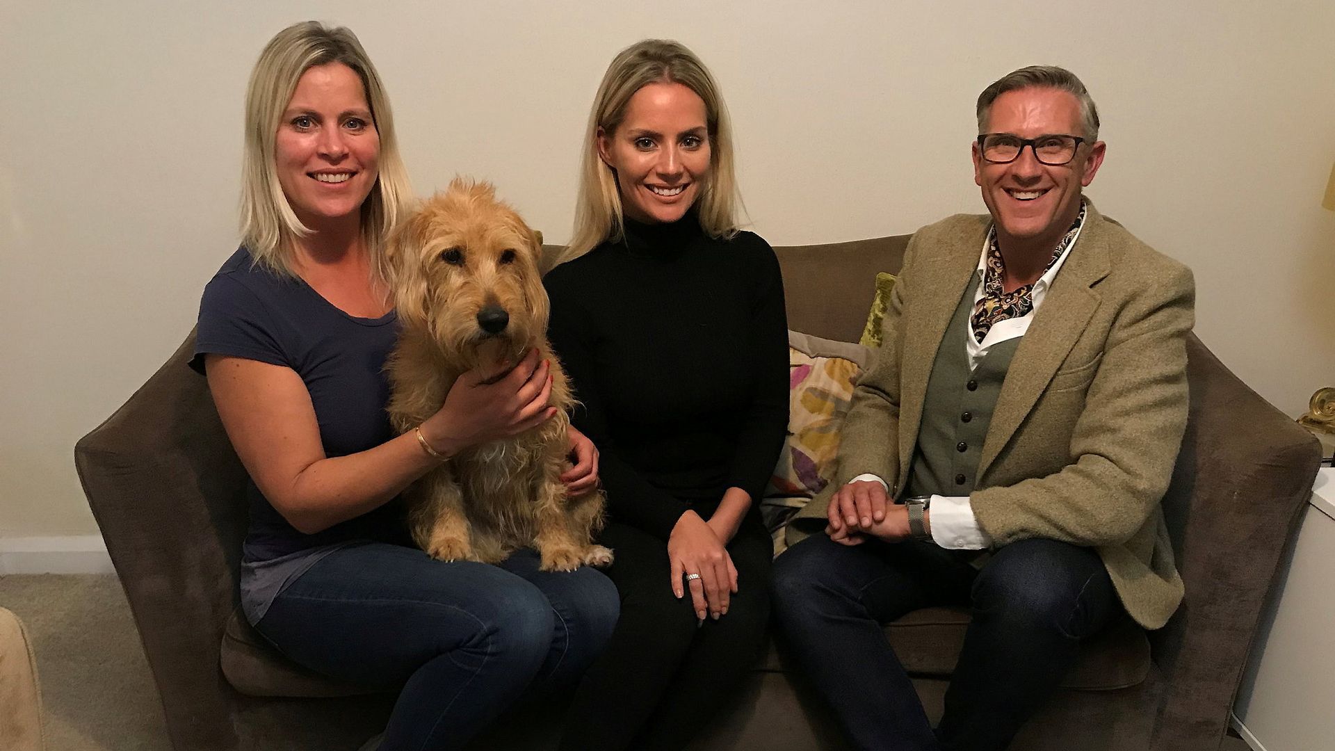 Dogs Behaving (Very) Badly background