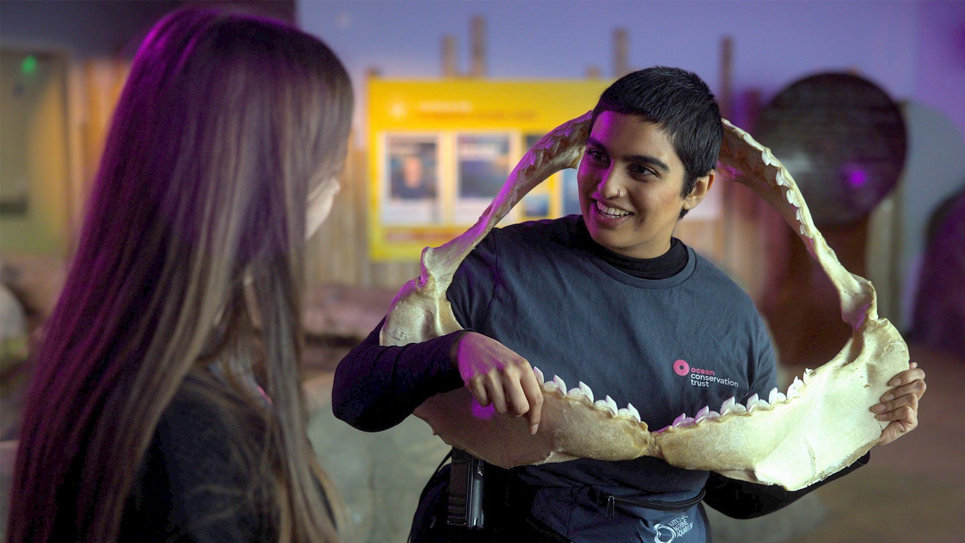 Secrets of the Aquarium background