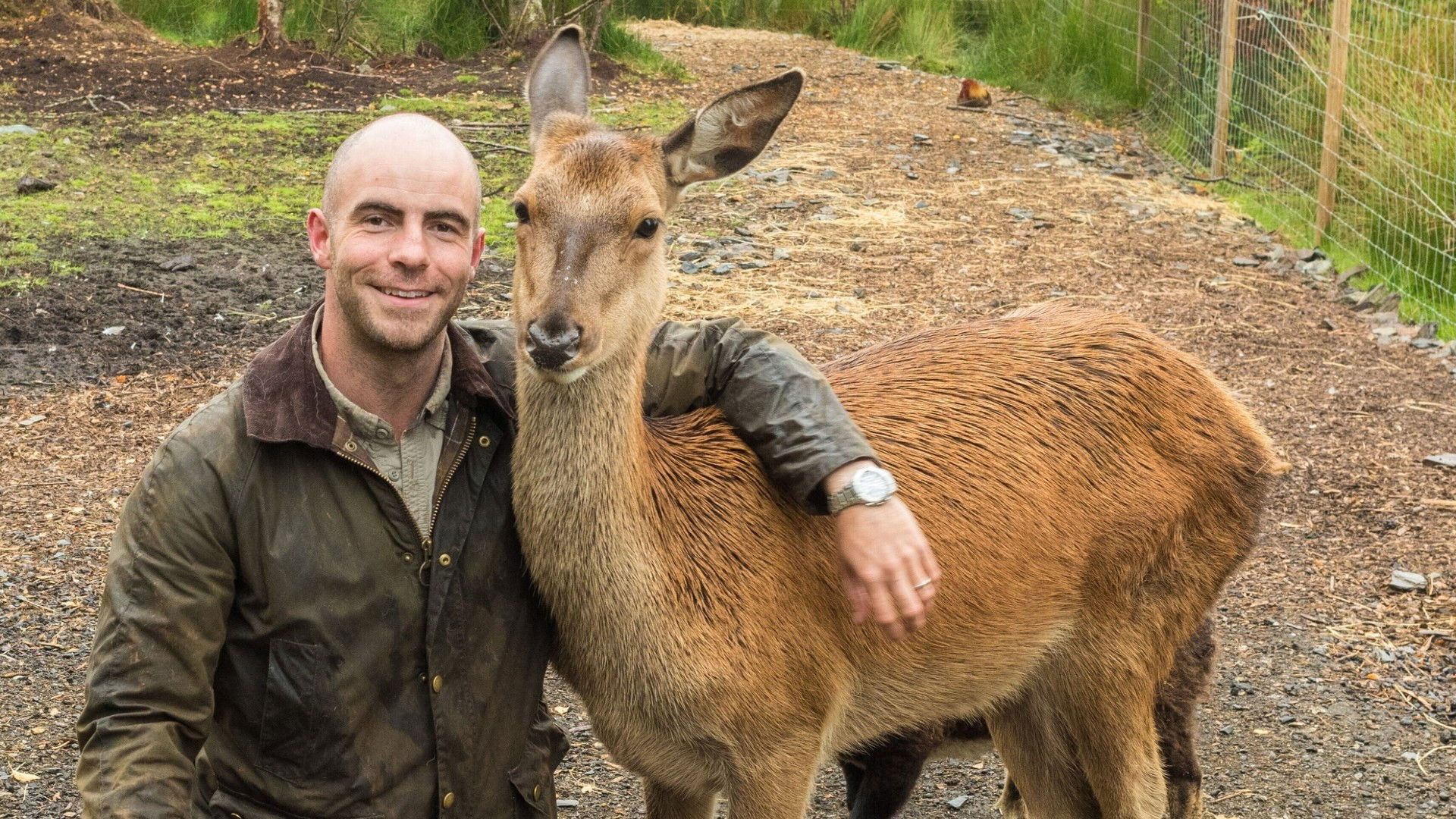 Return of the Wild: The Bearman of Buncrana background