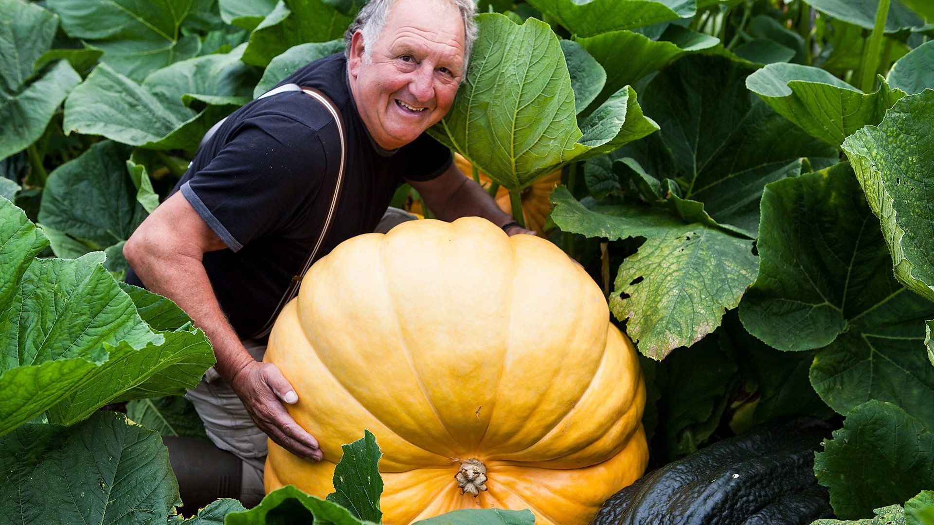 Our Lives background