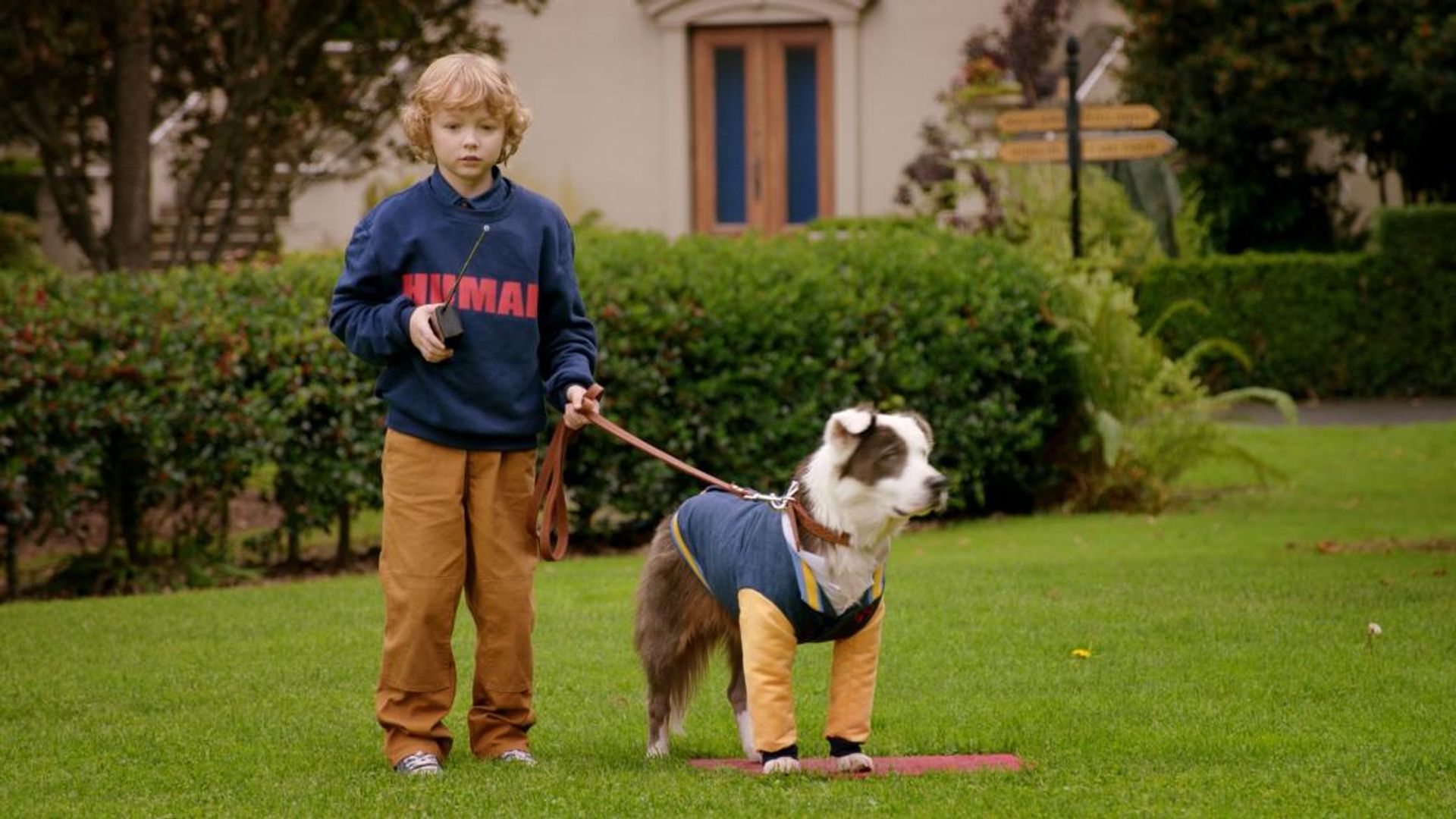 Pup Academy background