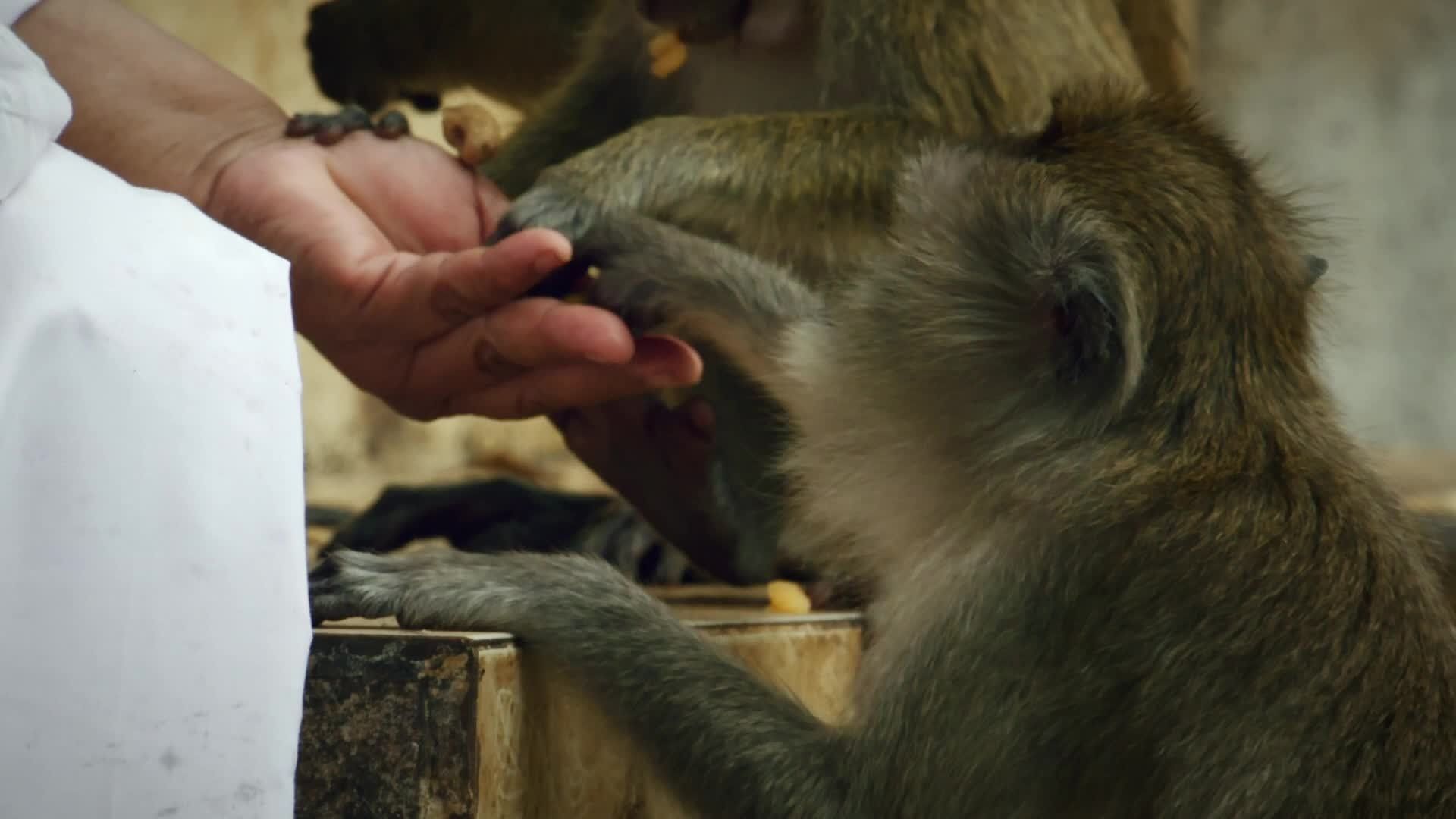Thailand: Earth's Tropical Paradise background