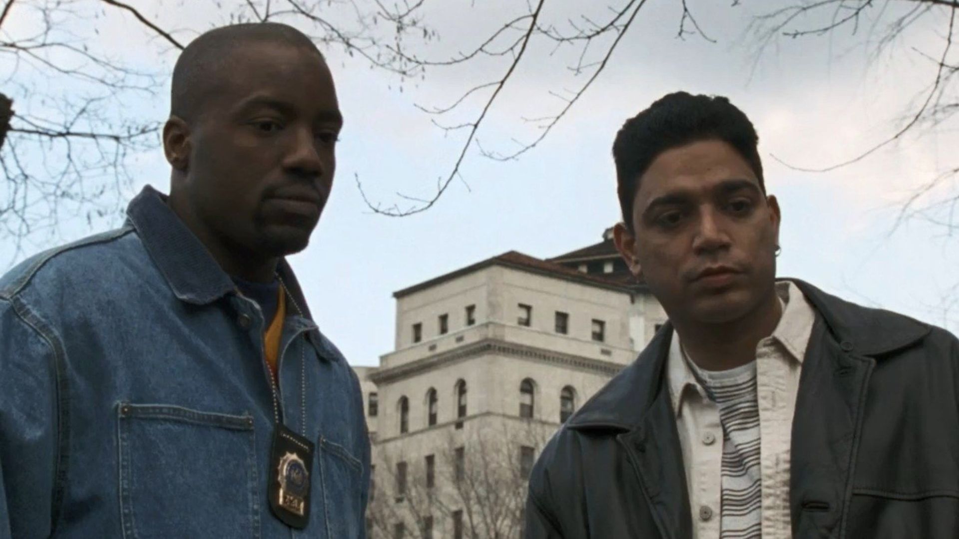 New York Undercover background