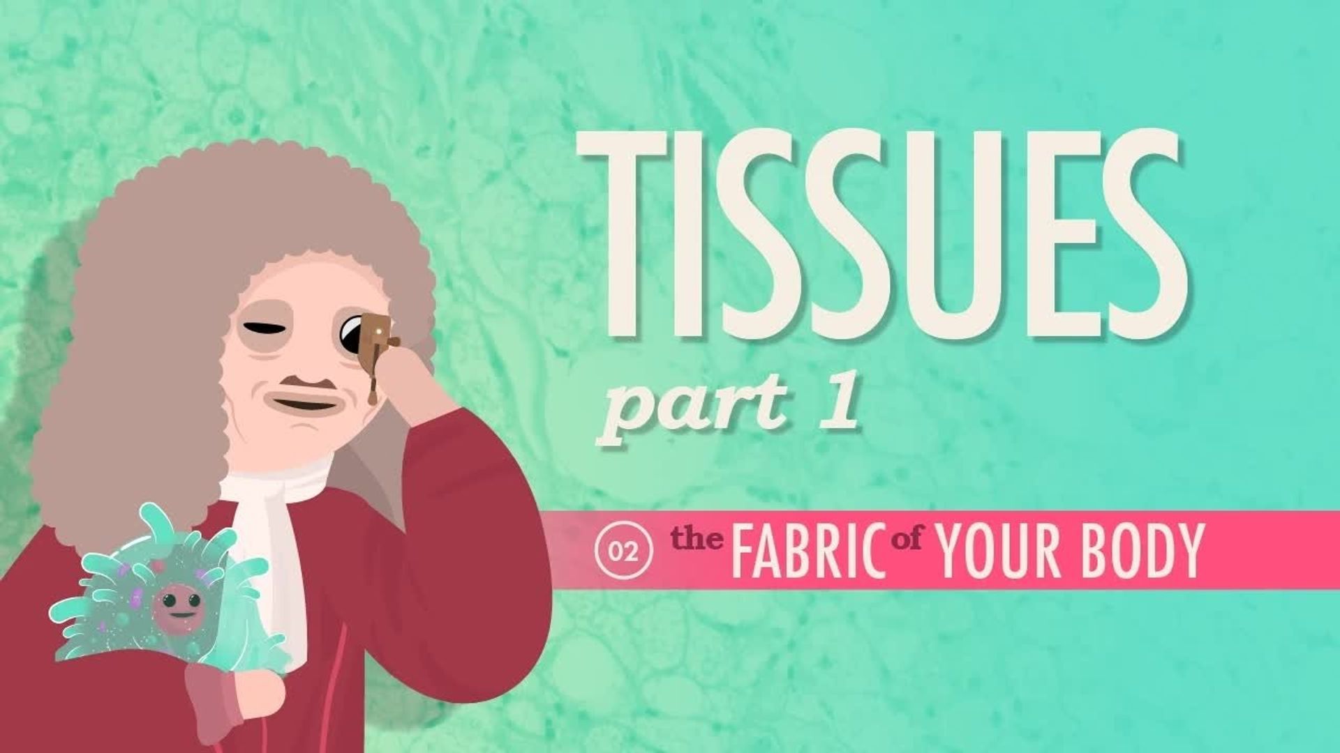 Crash Course: Anatomy & Physiology background