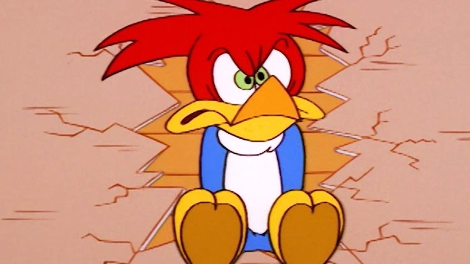 The Woody Woodpecker Show background