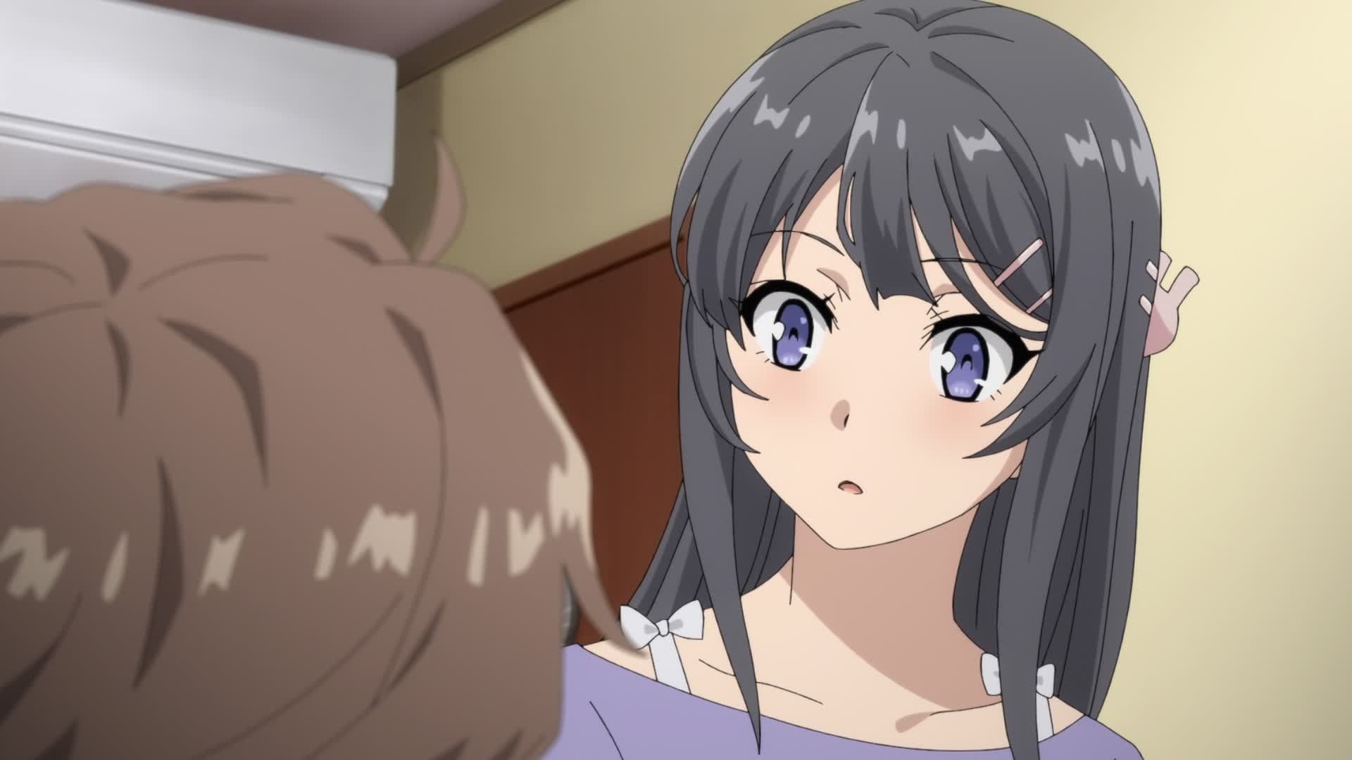 Rascal Does Not Dream of Bunny Girl Senpai background