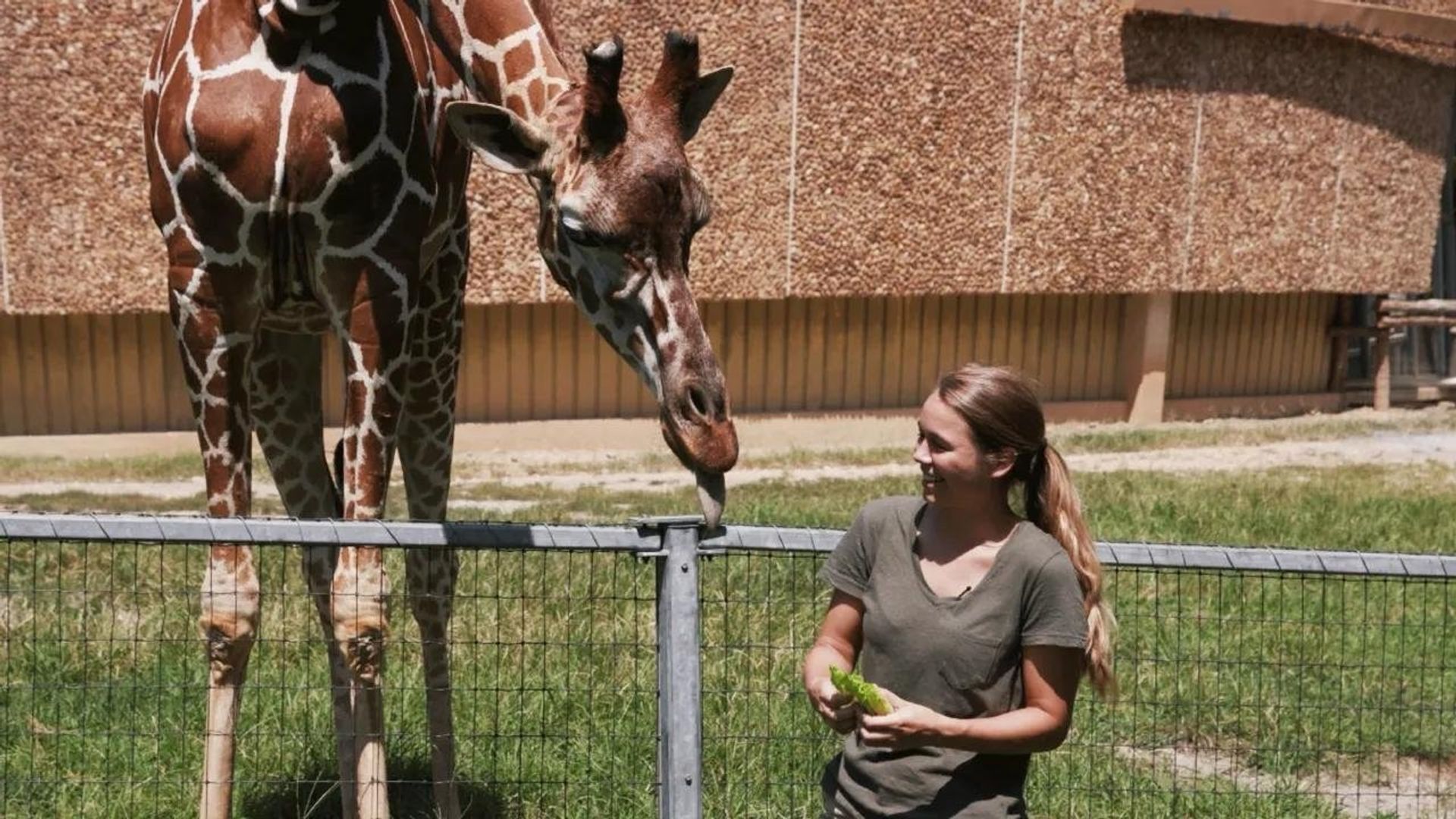 Sam's Zookeeper Challenge background