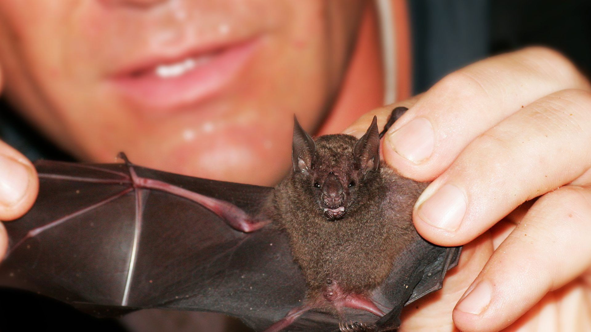 Deadly 60 background