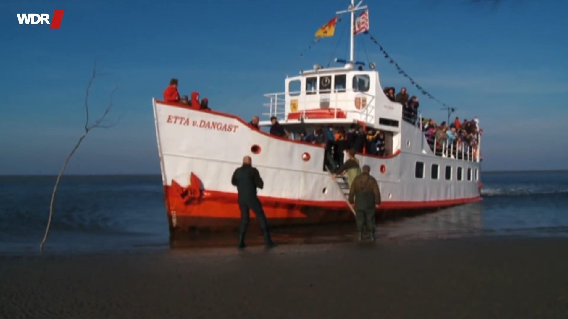 Die Sendung mit dem Elefanten background