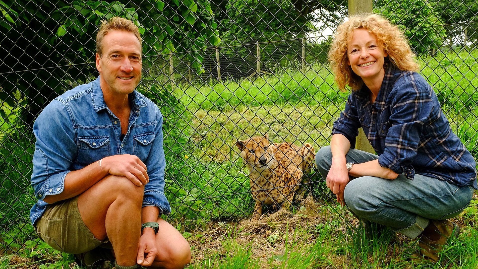 Animal Park background