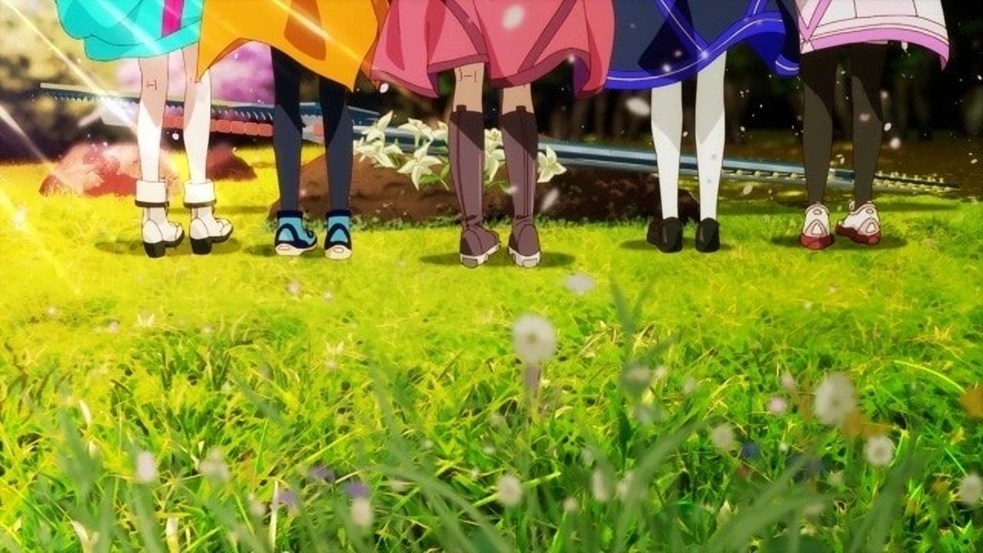 MOMENTARY LILY background
