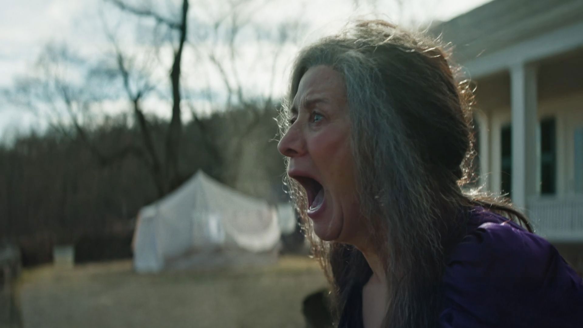 The Artist background