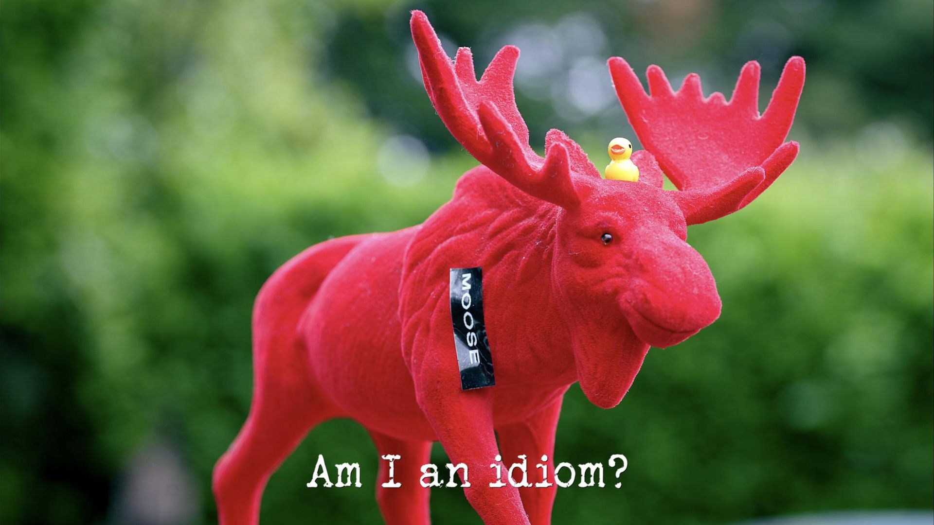 Taskmaster background