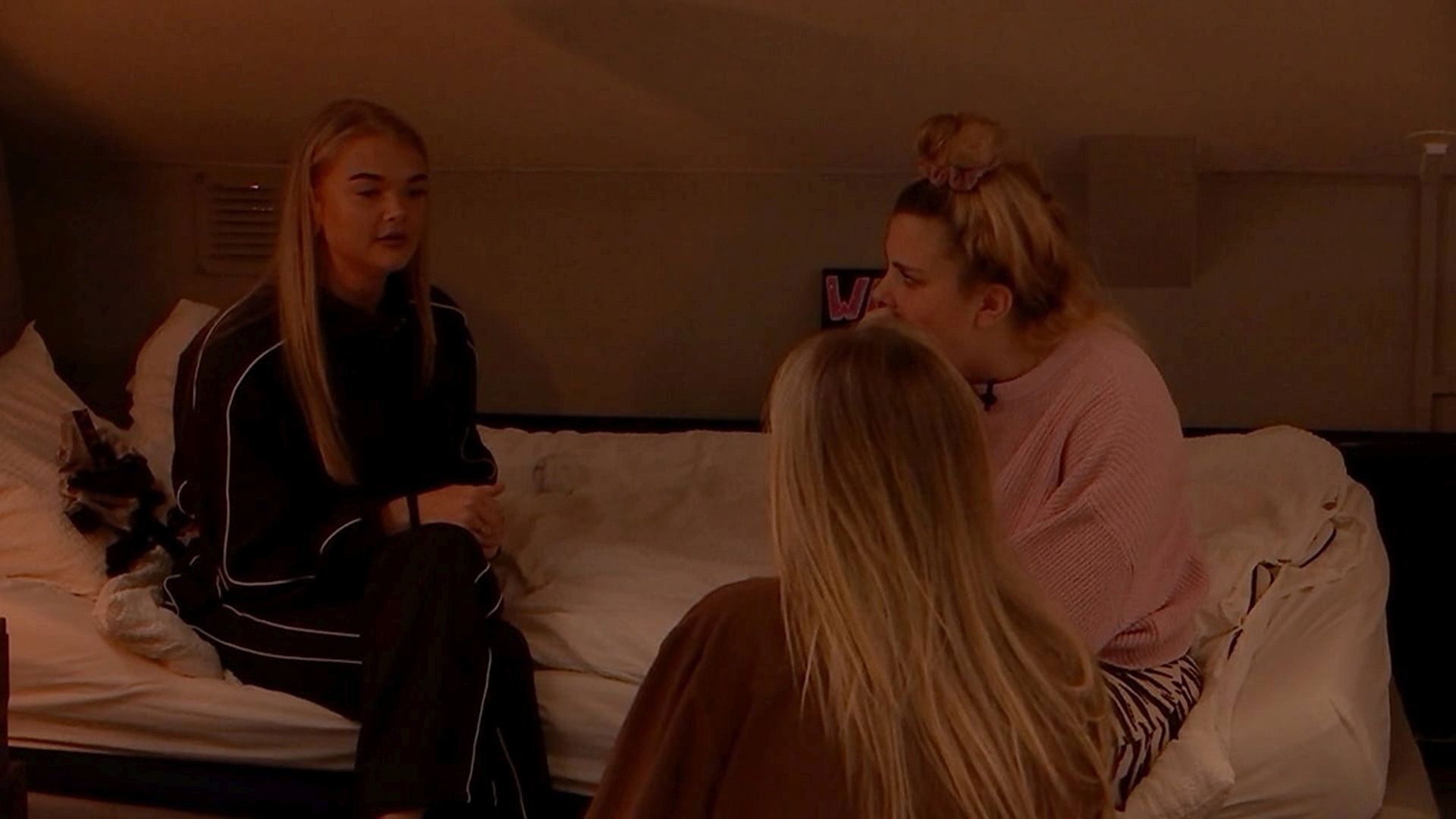 De Bondgenoten background