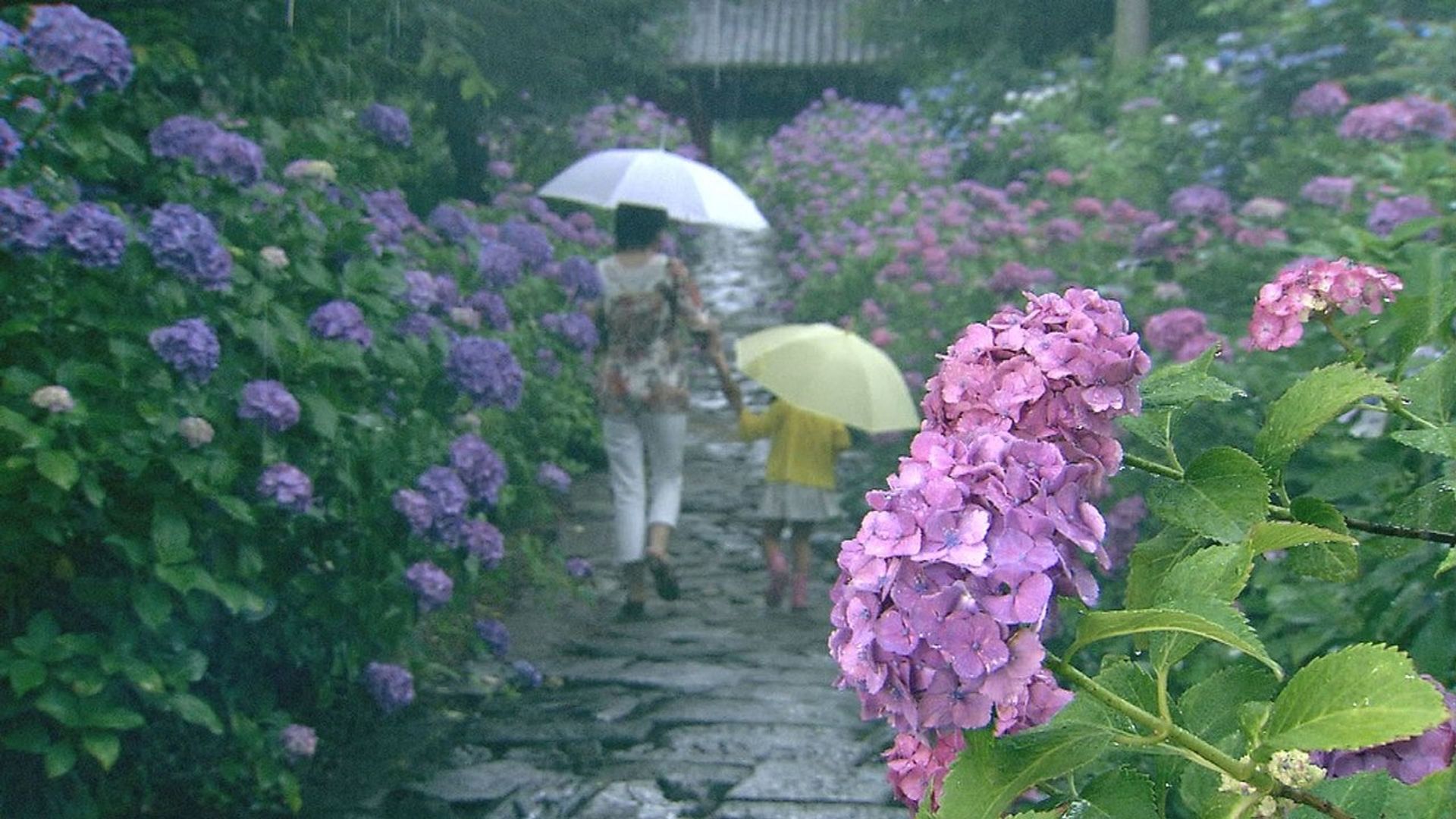 Magical Japanese background