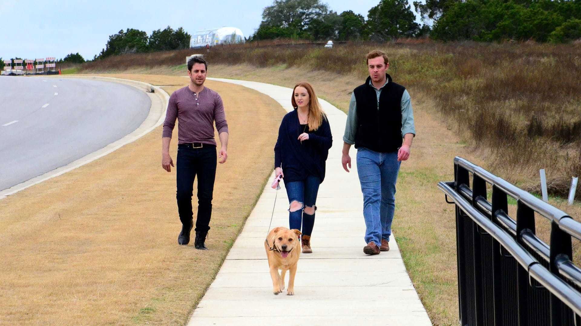 My Big Fat Pet Makeover background