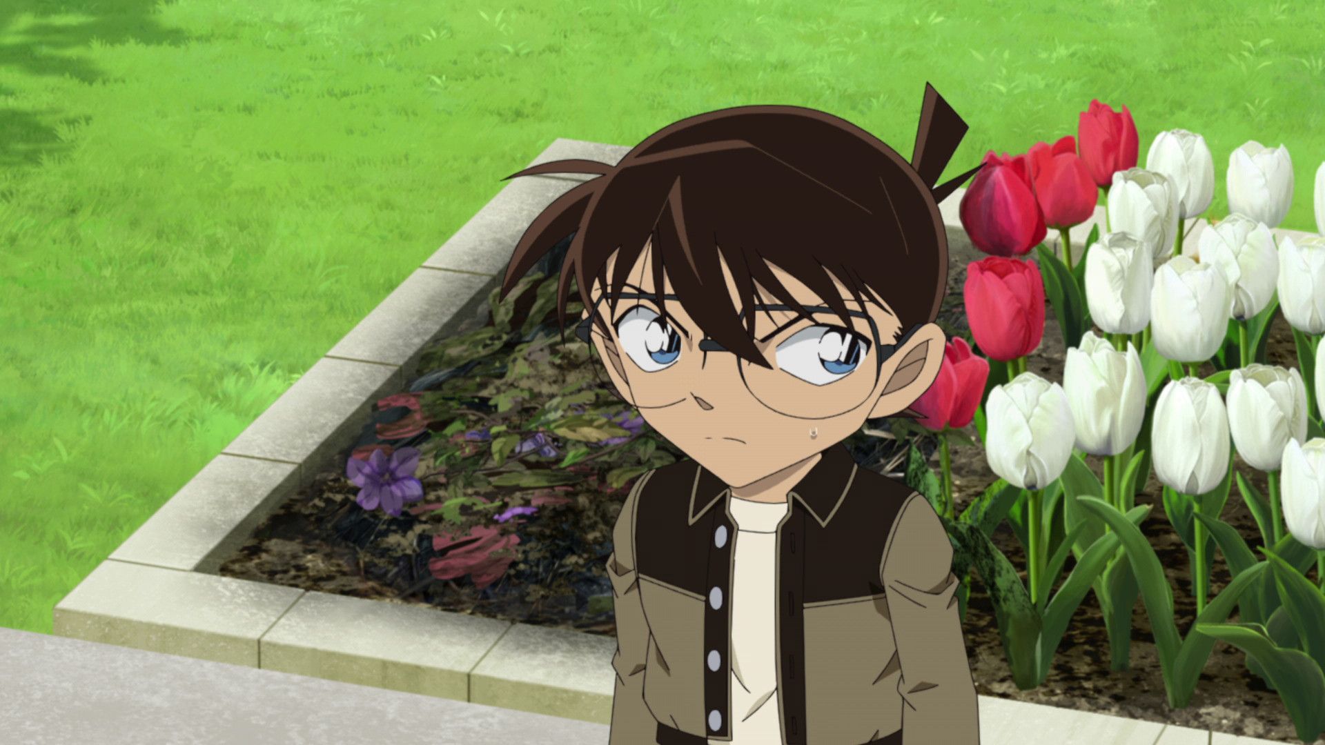 Detective Conan background