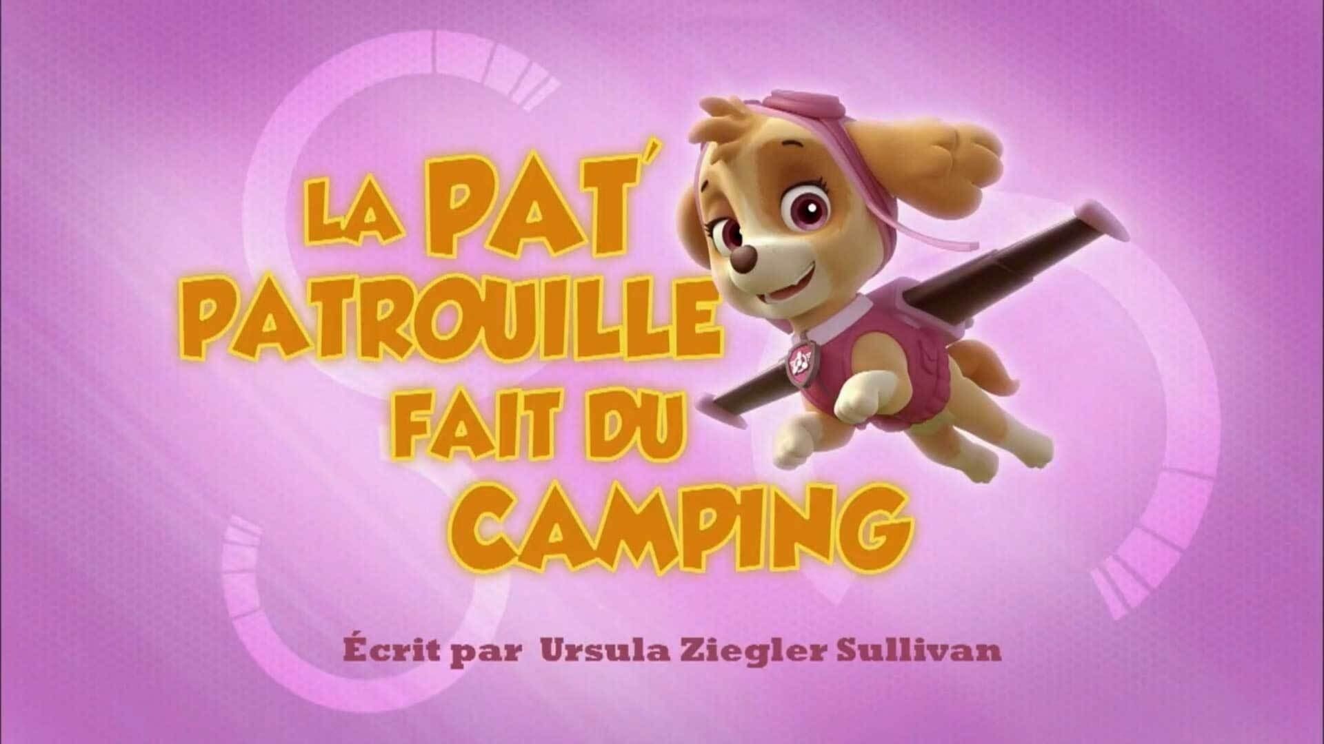 PAW Patrol background