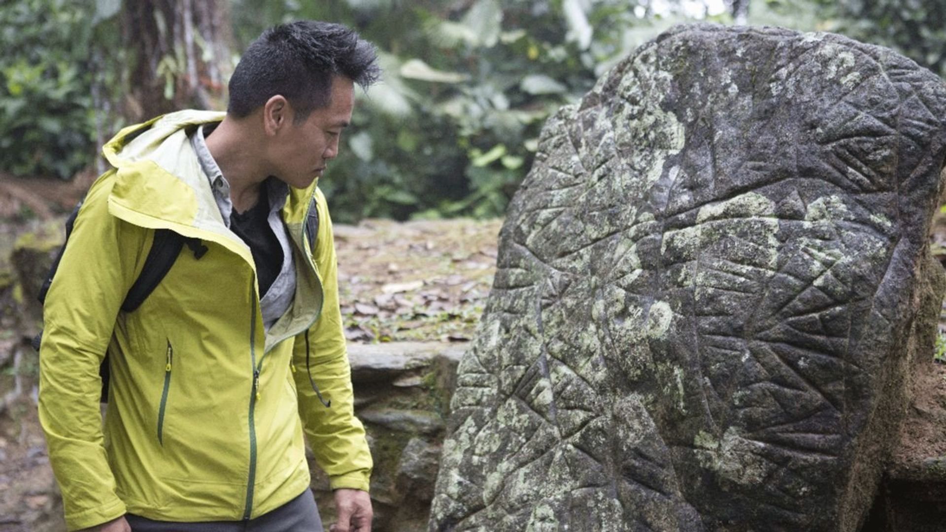 Lost Cities with Albert Lin background