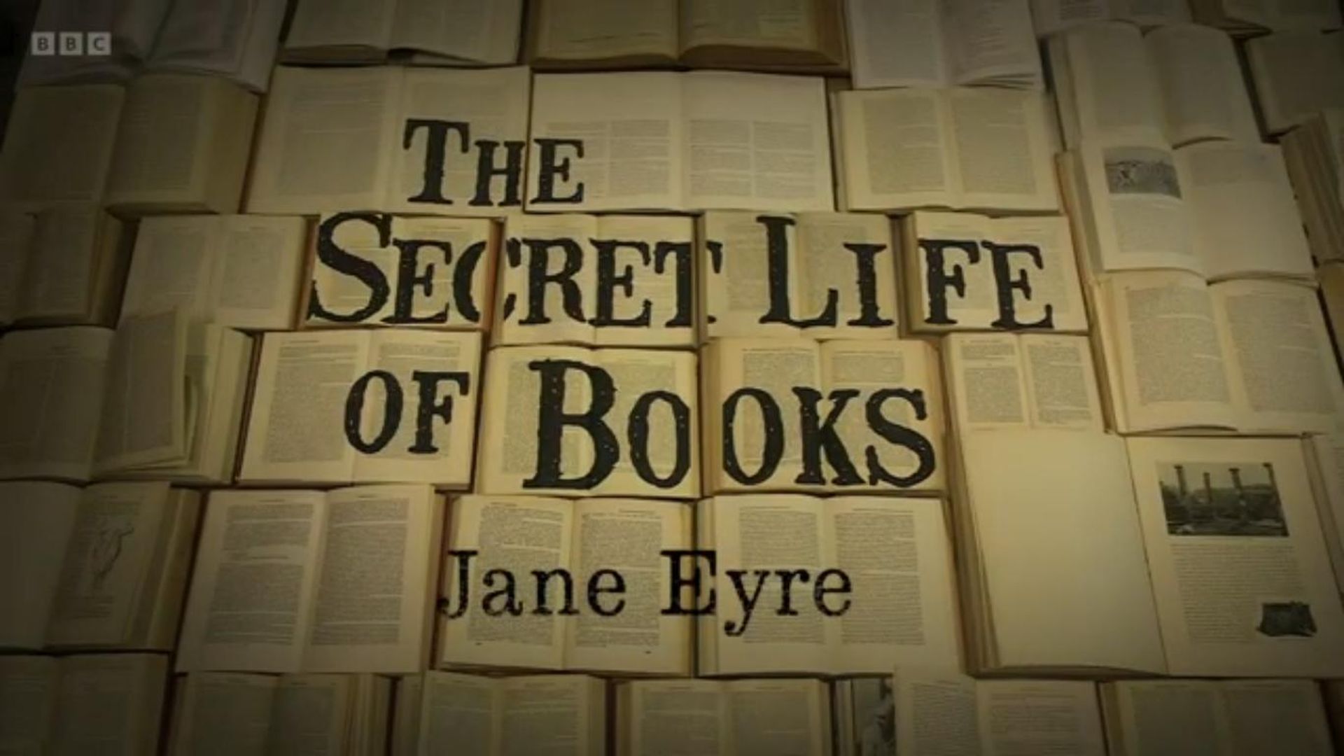 The Secret Life of Books background