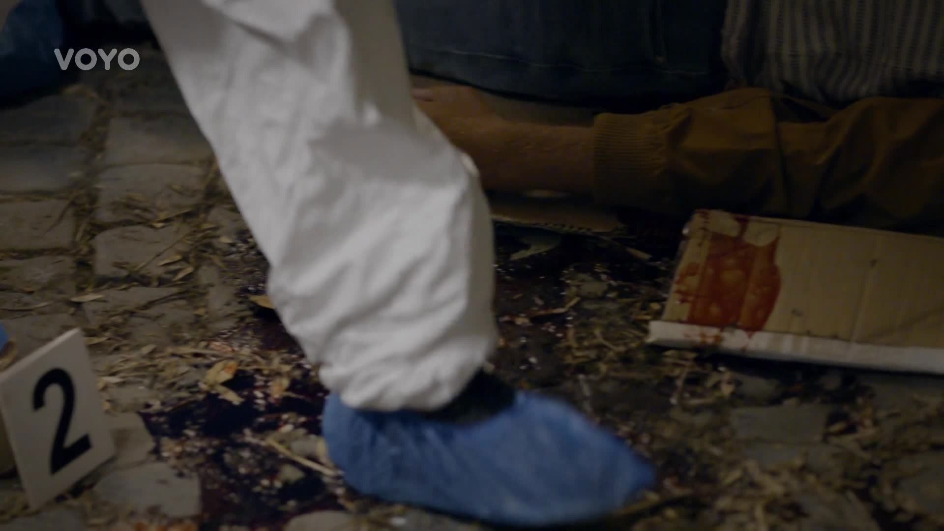 Specialisté background