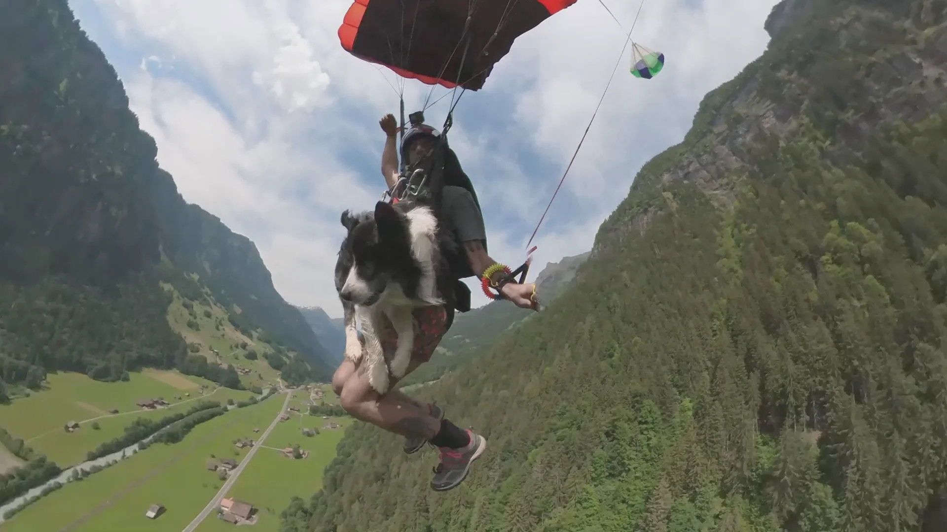 The Secret Life of Our Pets background