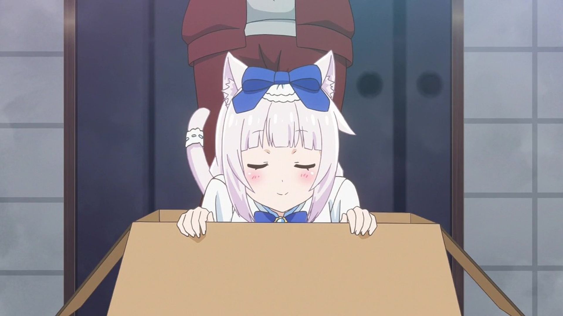 Nekopara background