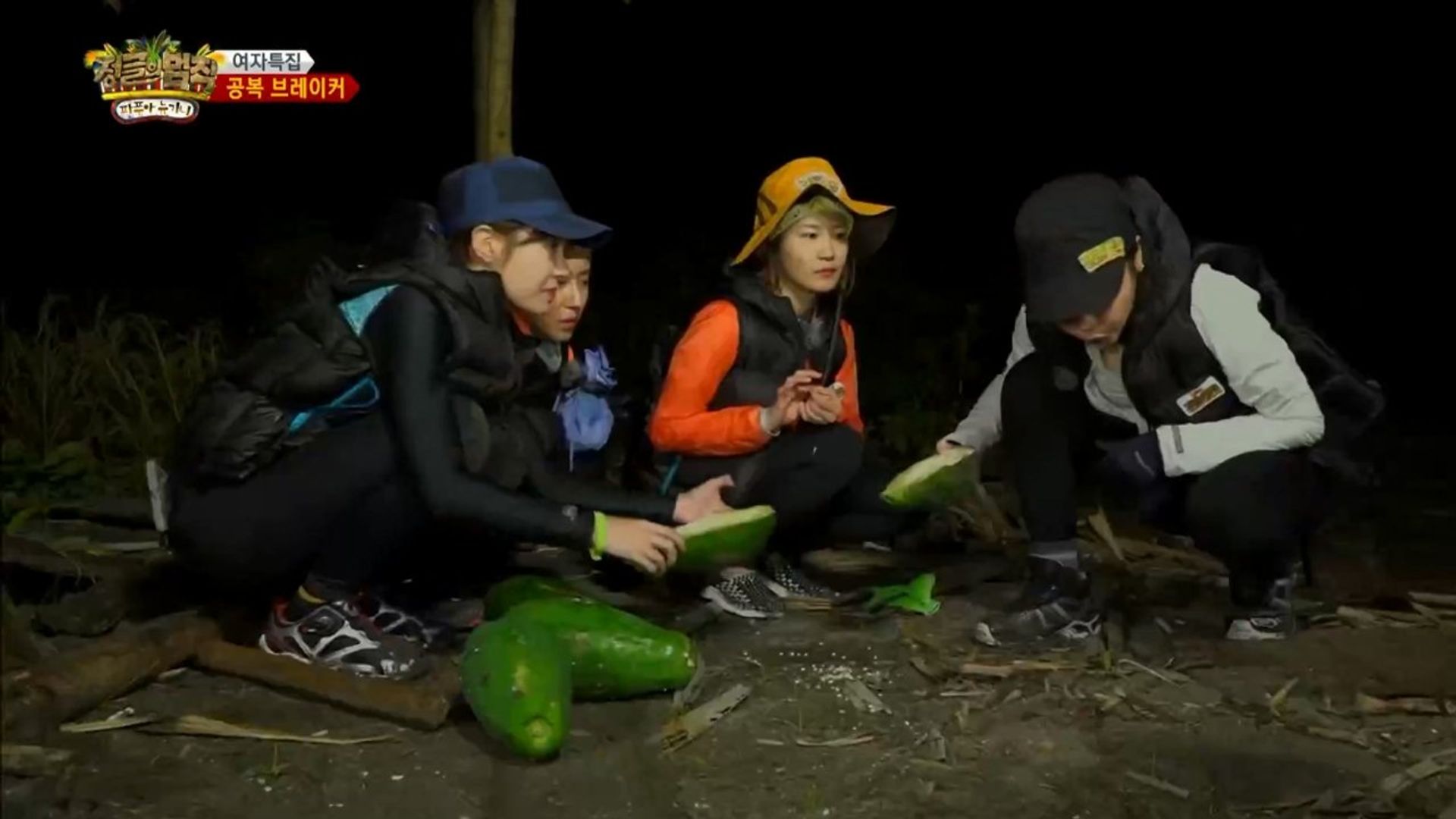 Law of the Jungle background