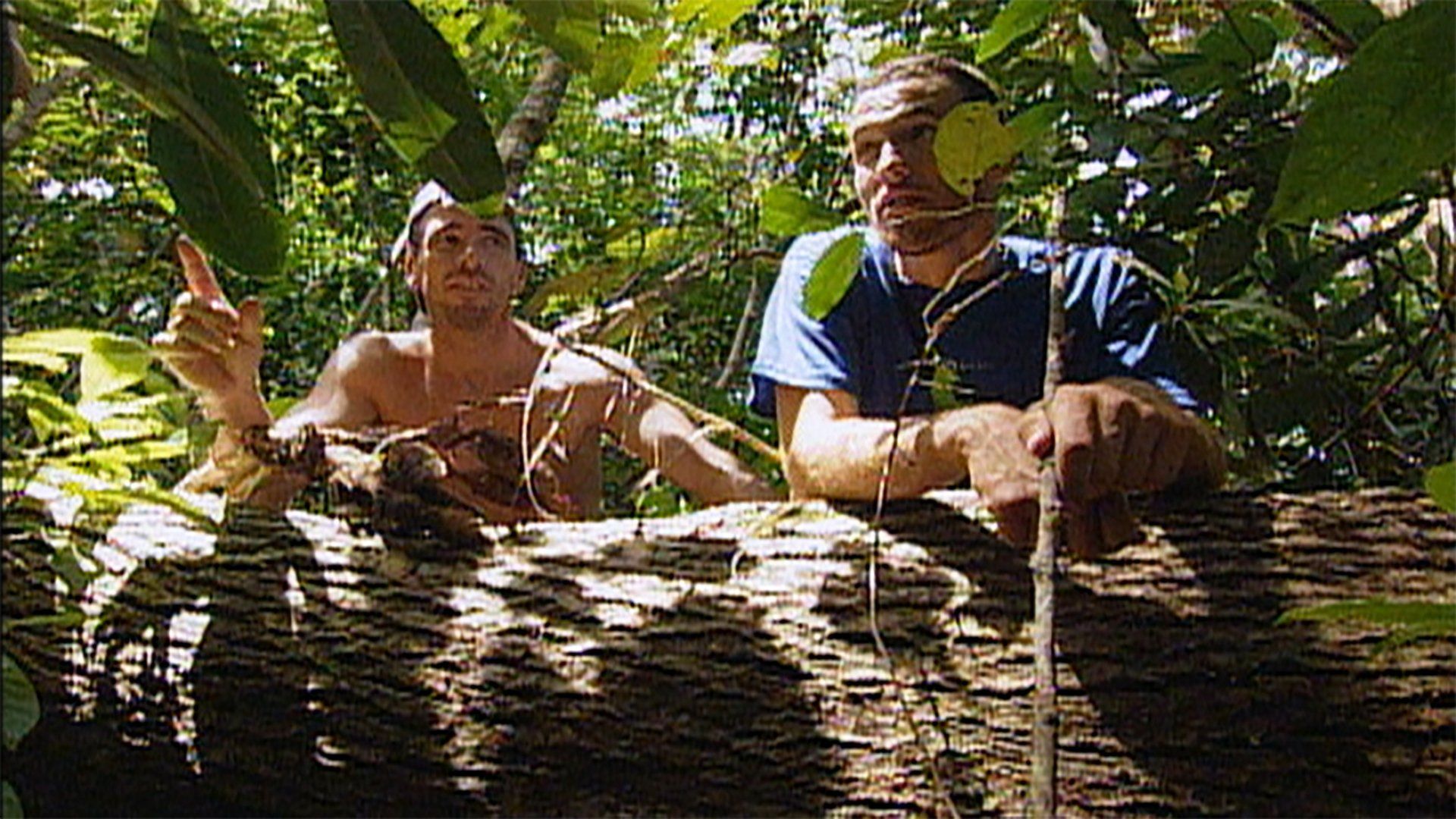 Survivor background
