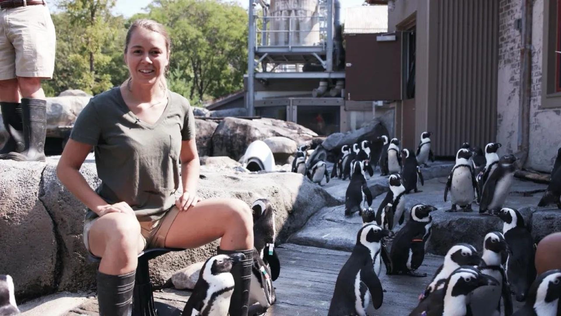 Sam's Zookeeper Challenge background