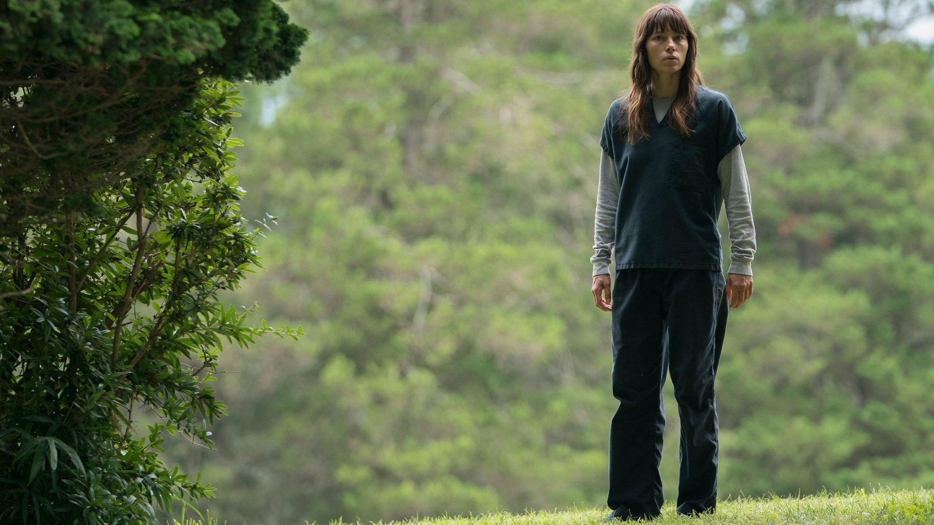 The Sinner background