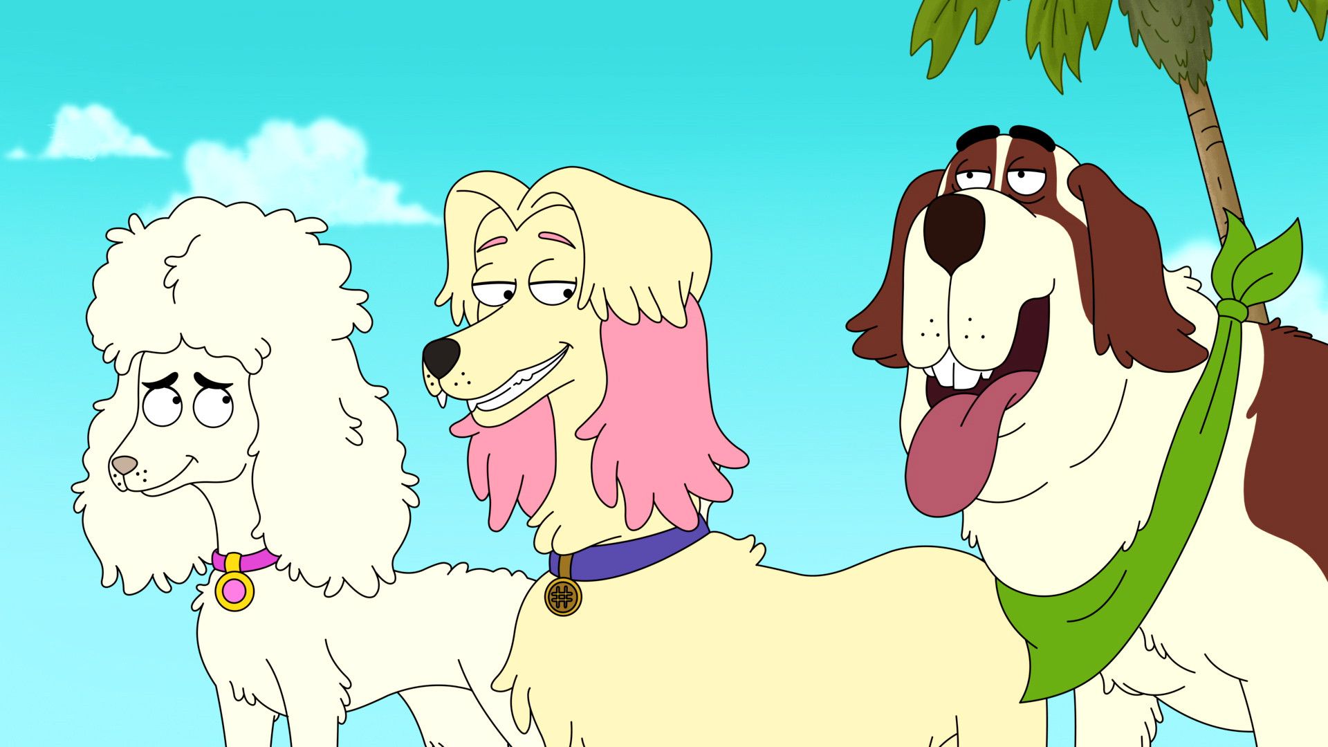 HouseBroken background