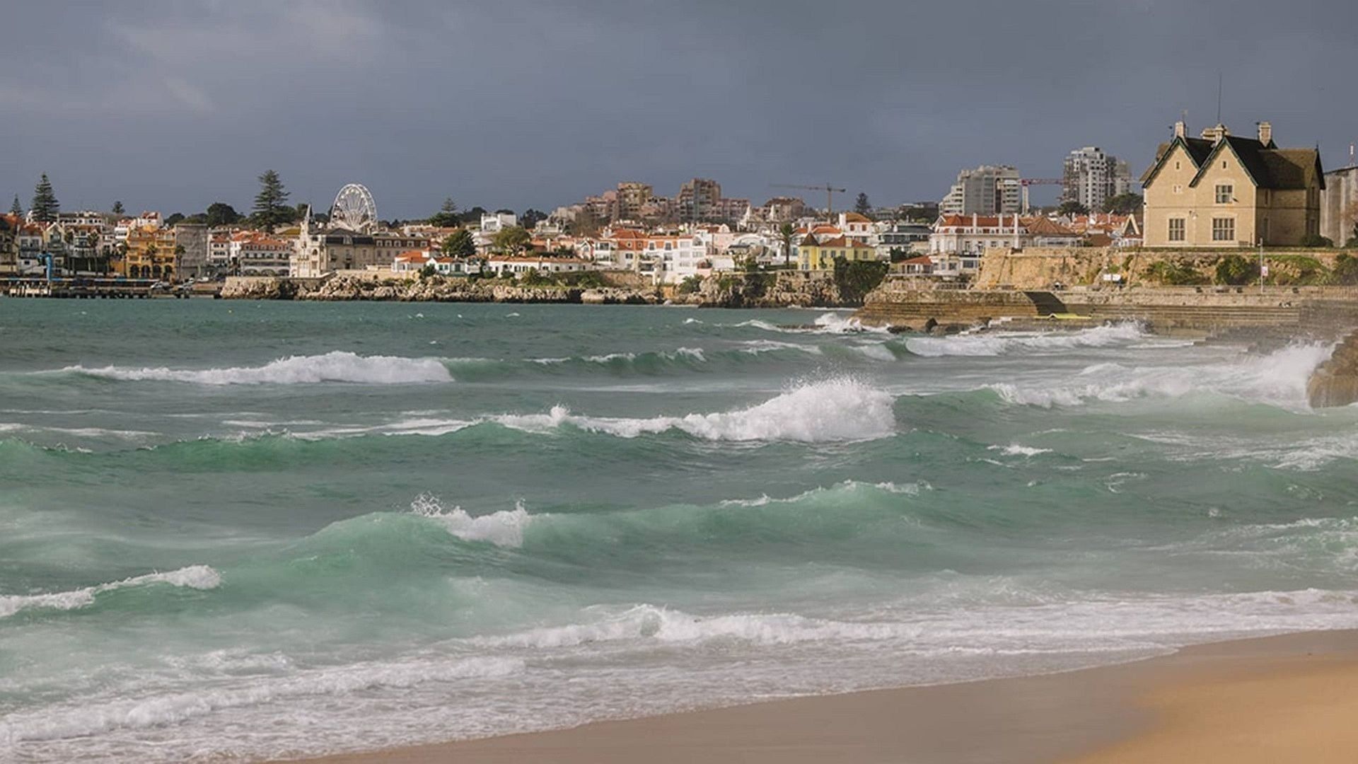 Wie is de Mol? background