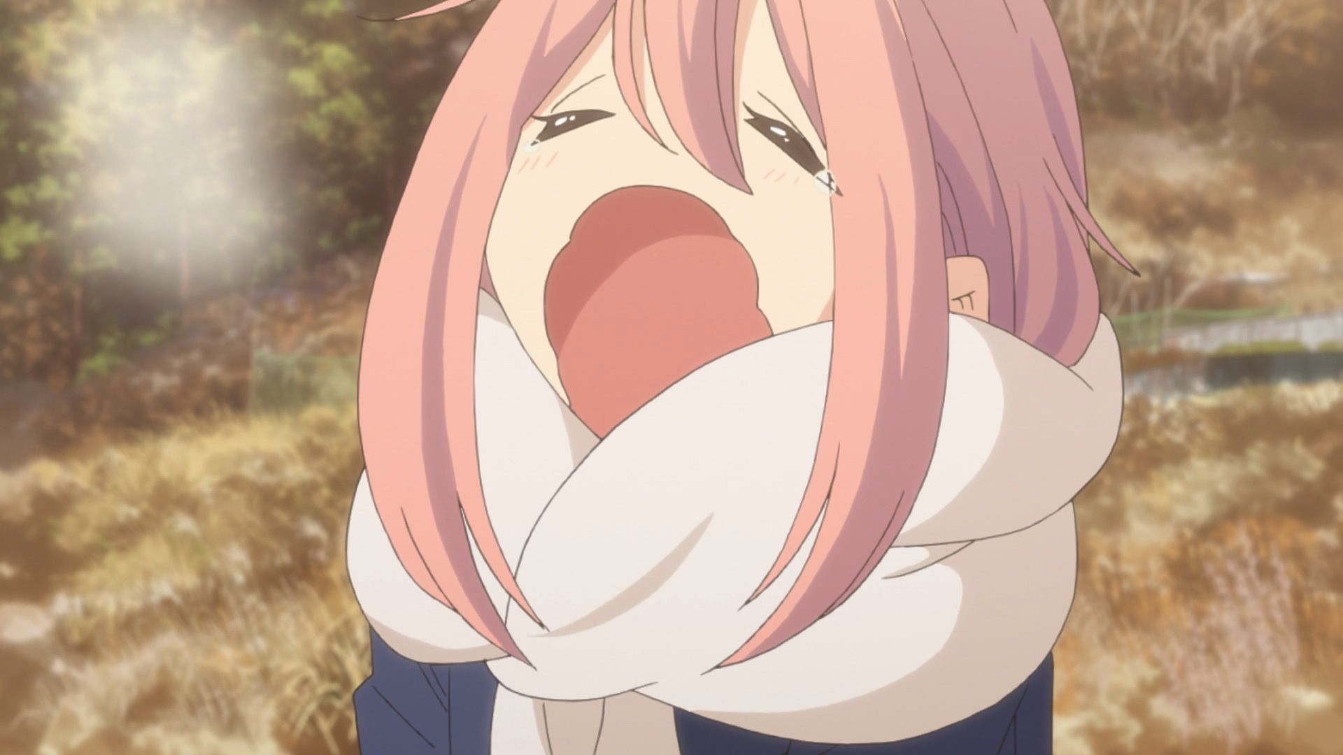 Laid-Back Camp background