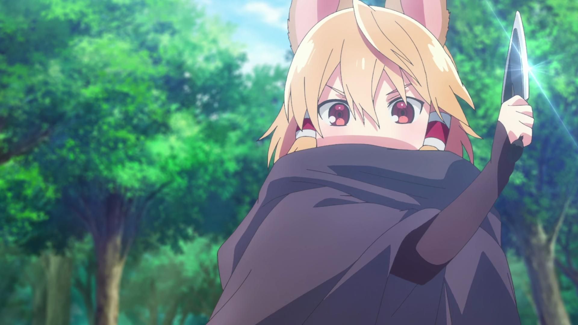 Seirei Gensouki: Spirit Chronicles background