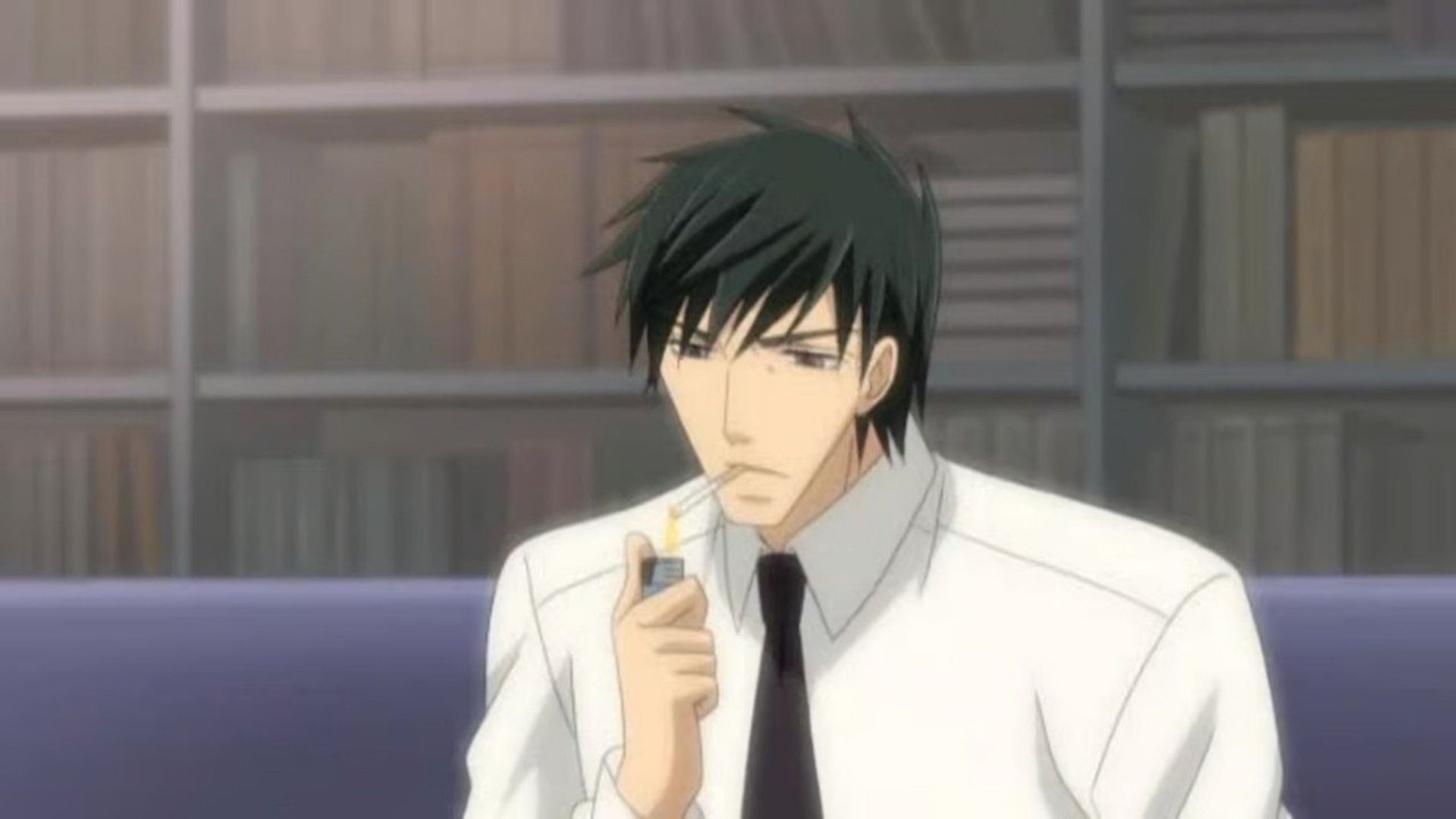 Junjou Romantica background