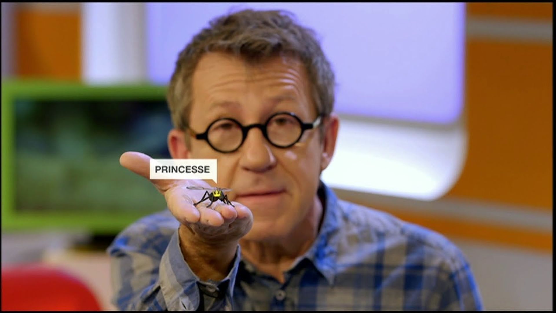 C'est pas sorcier background