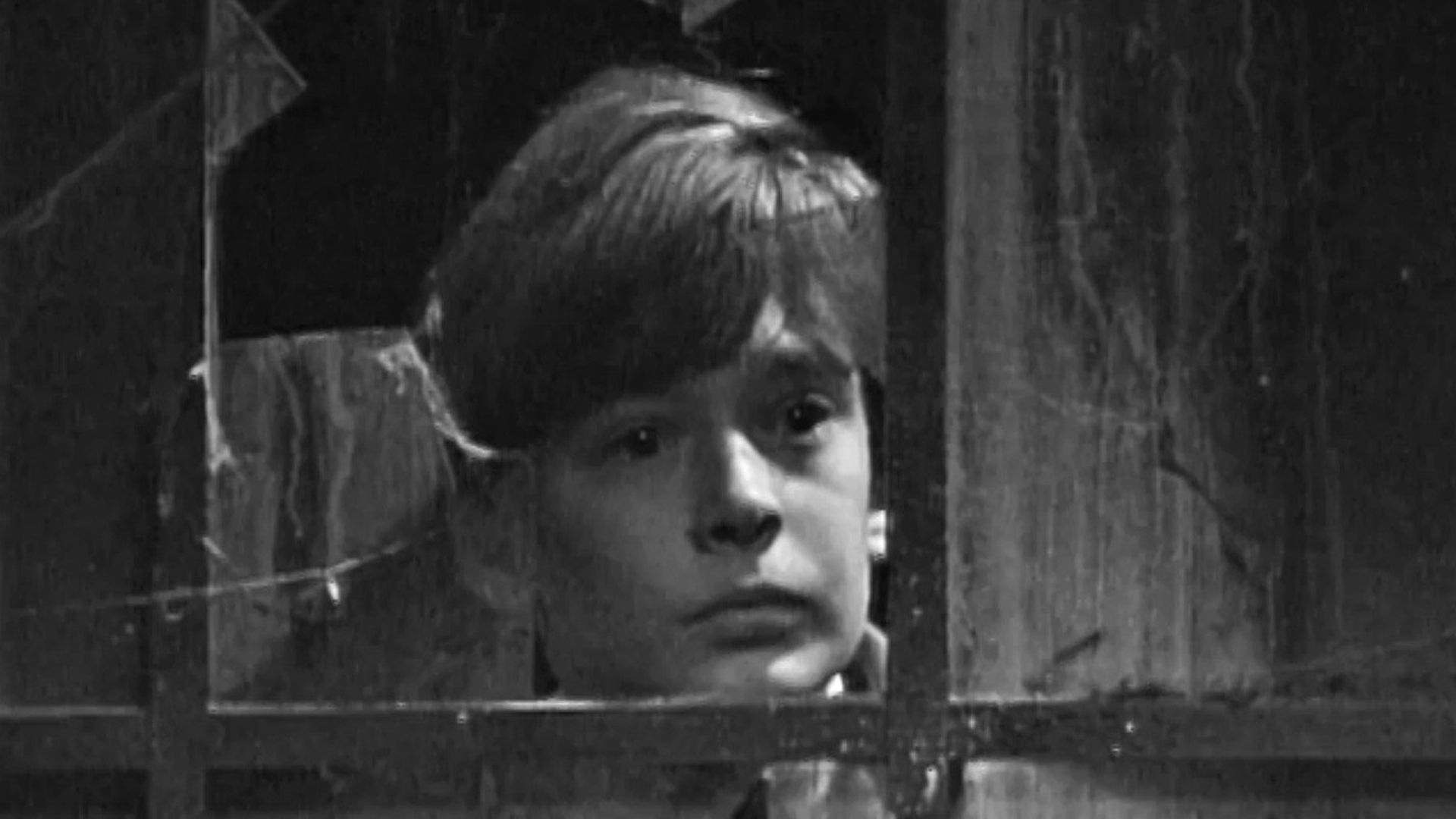 Dark Shadows background