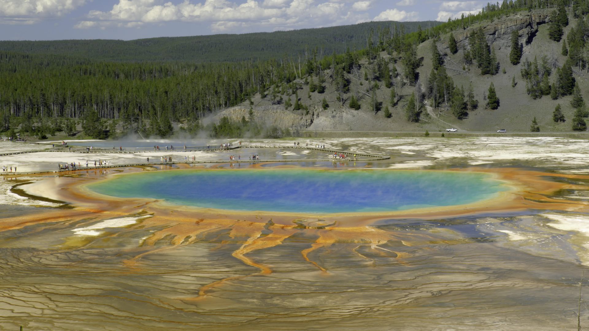 The World Heritage background