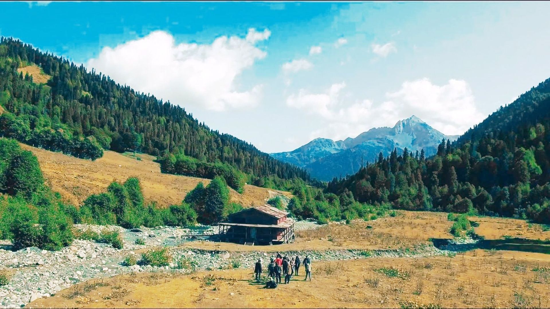 Igra na vyzhivanie background