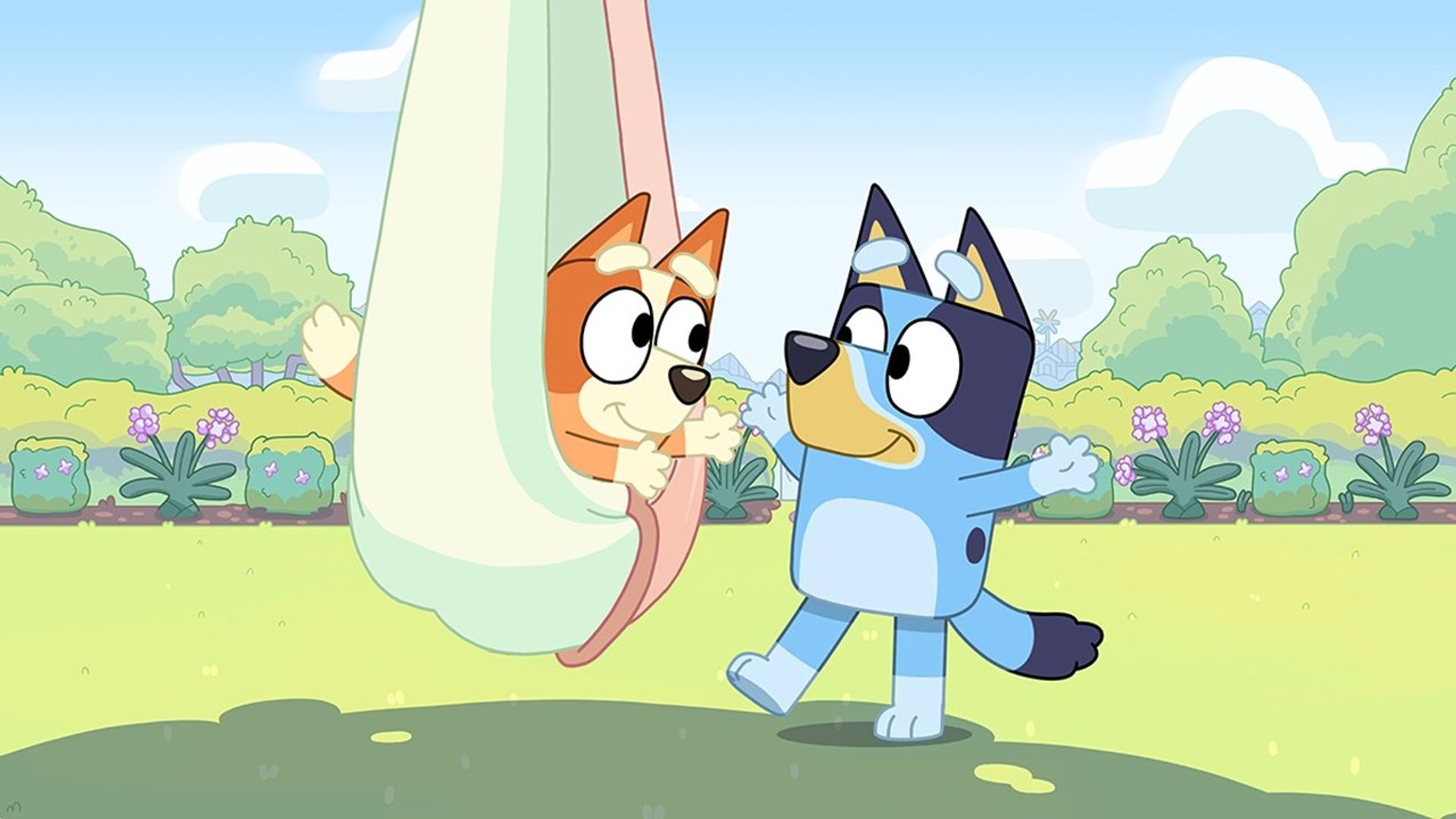 Bluey background