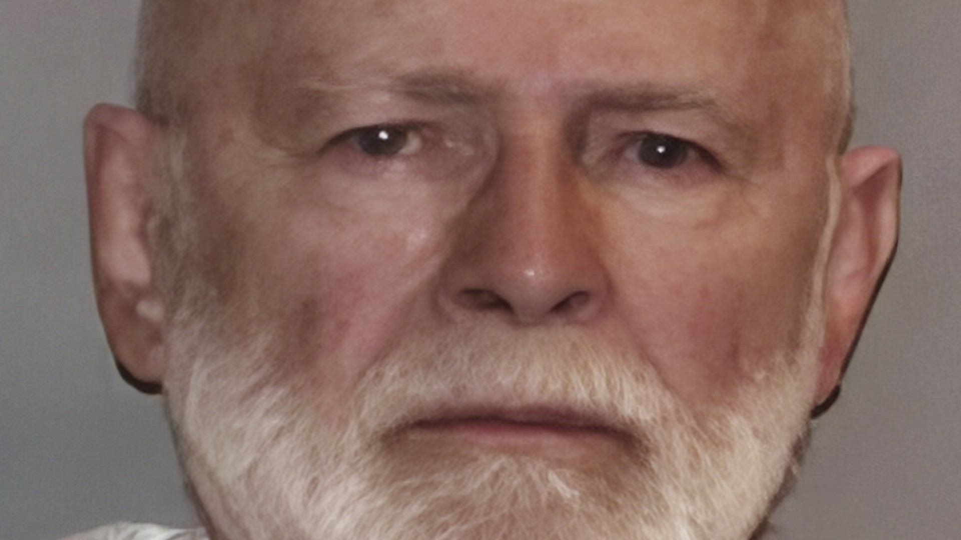 Gangland Chronicles background