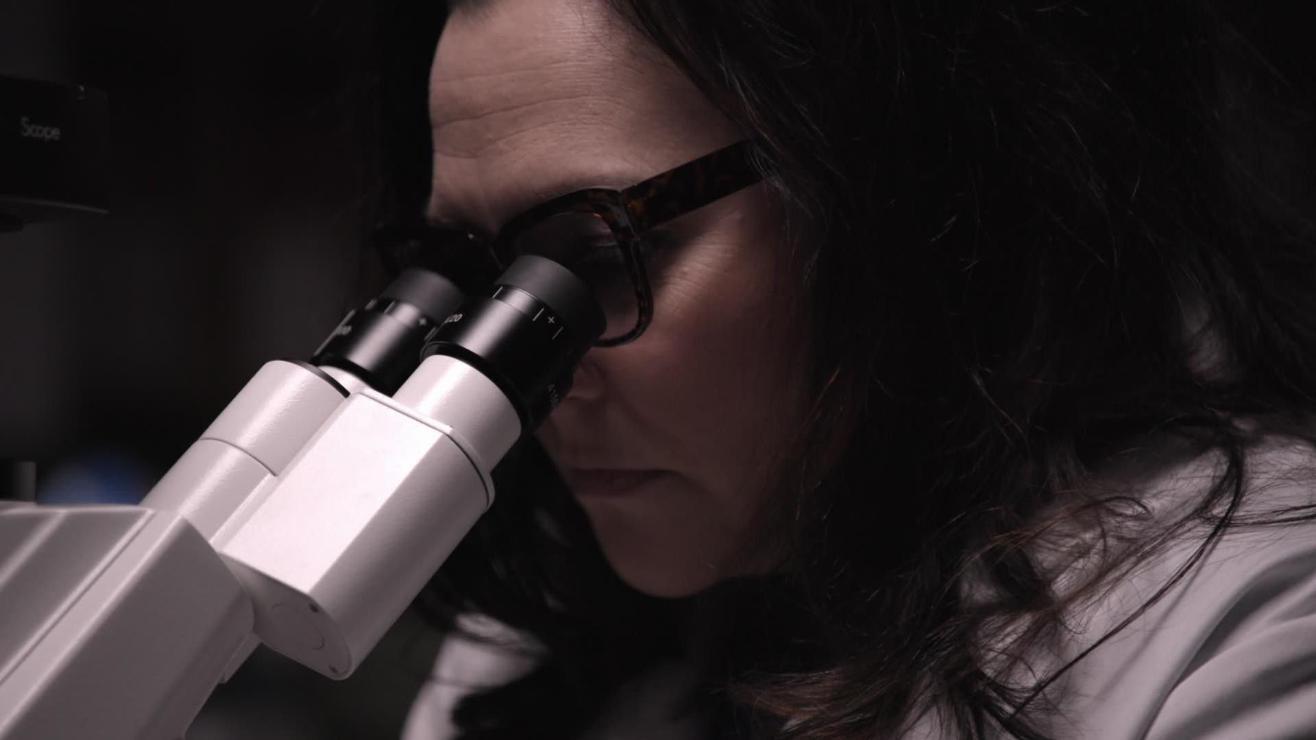 Cold Case Files: DNA Speaks background